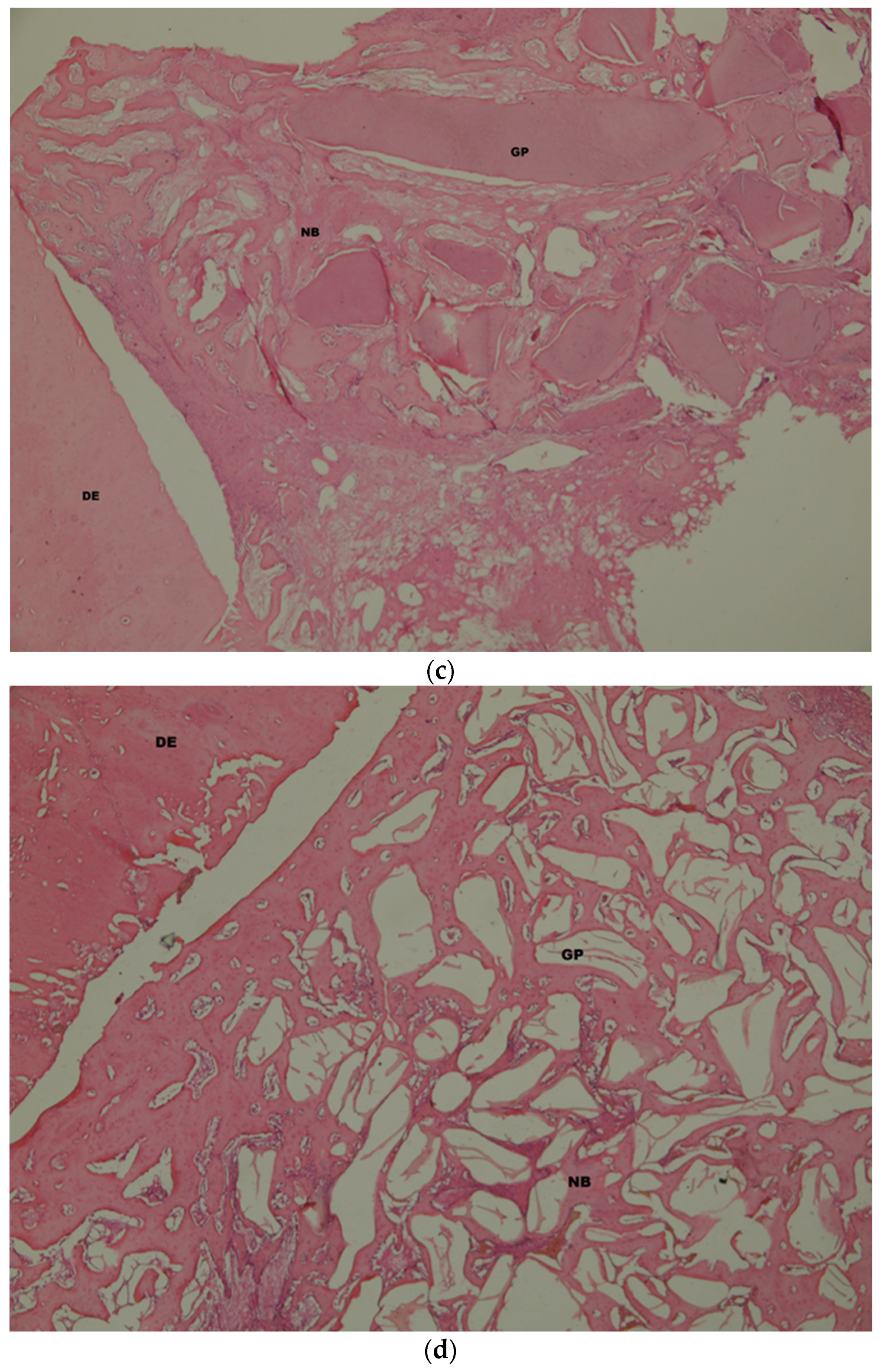 Medicina 58 00103 g009b