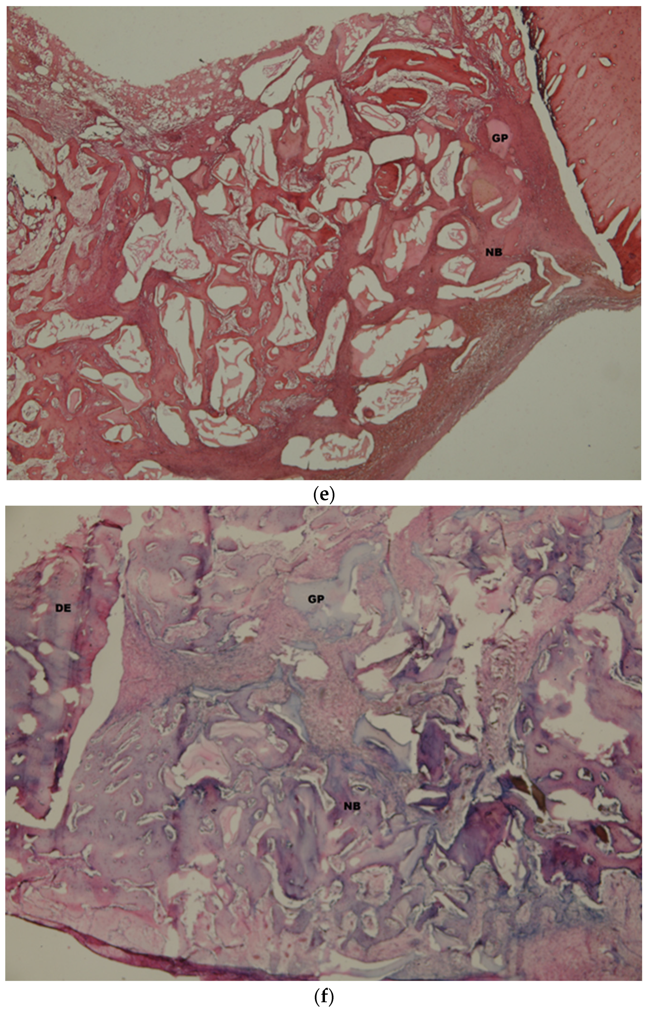 Medicina 58 00103 g009c