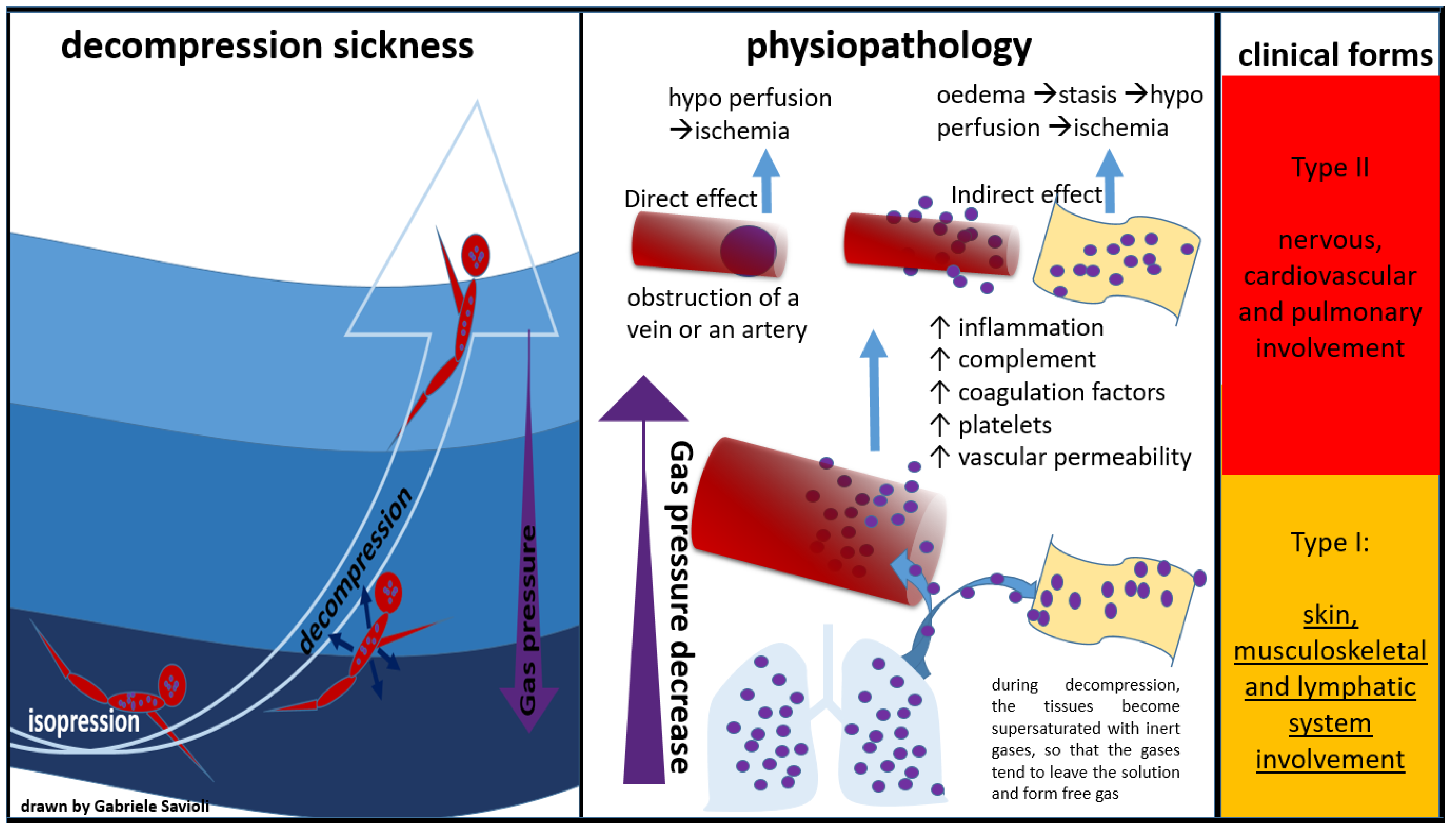 Medicina 58 00104 g002