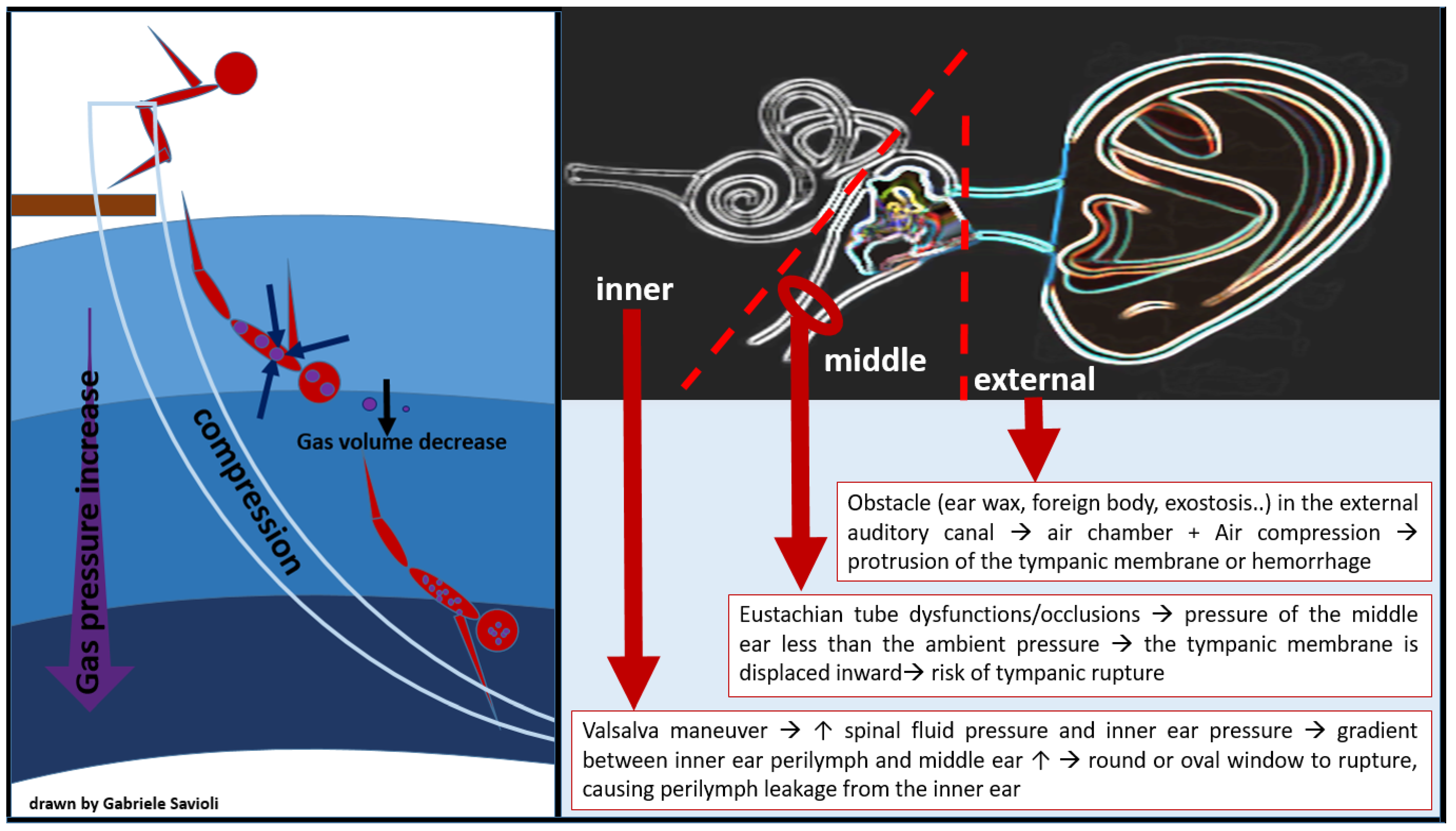 Medicina 58 00104 g005