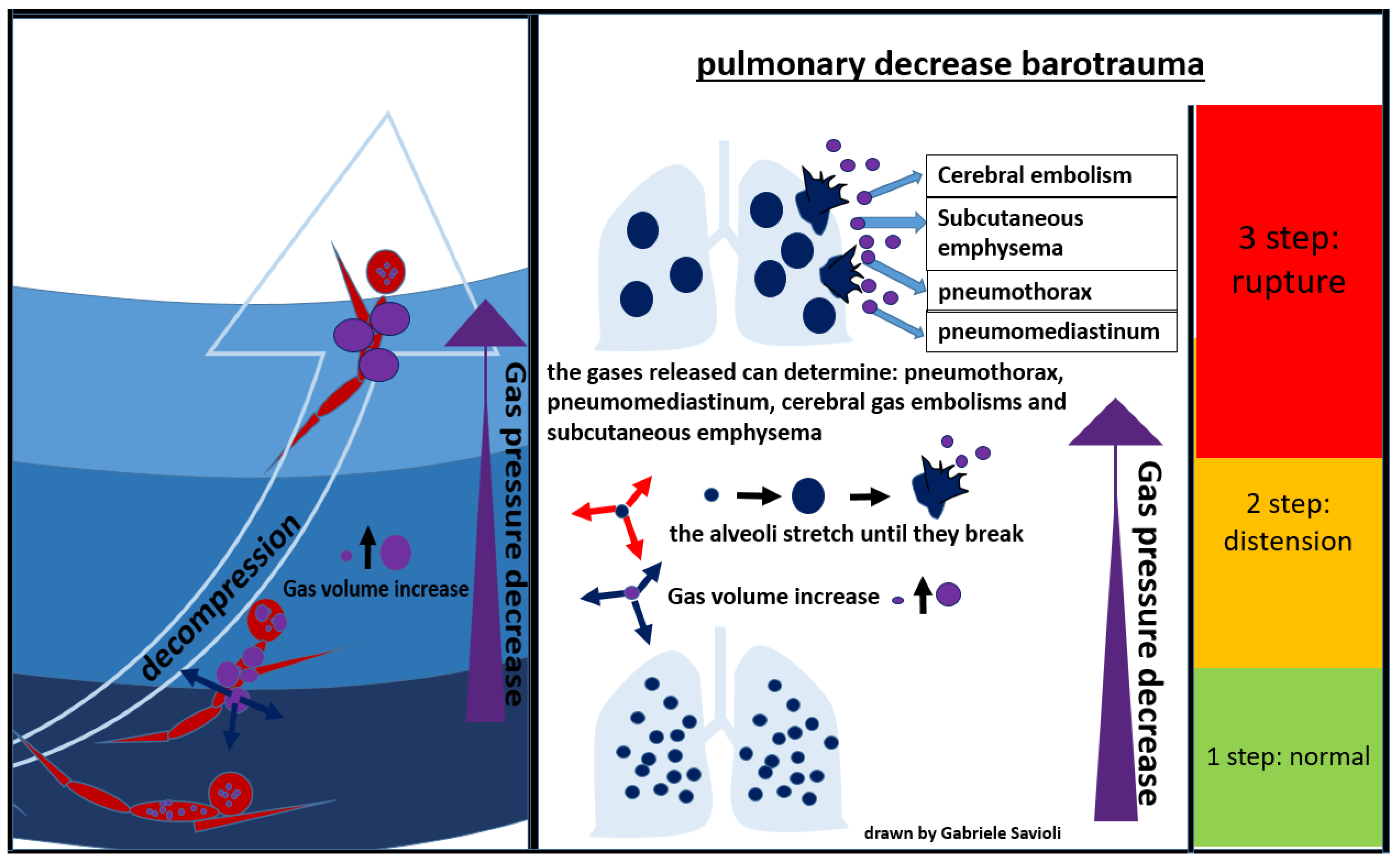 Medicina 58 00104 g007