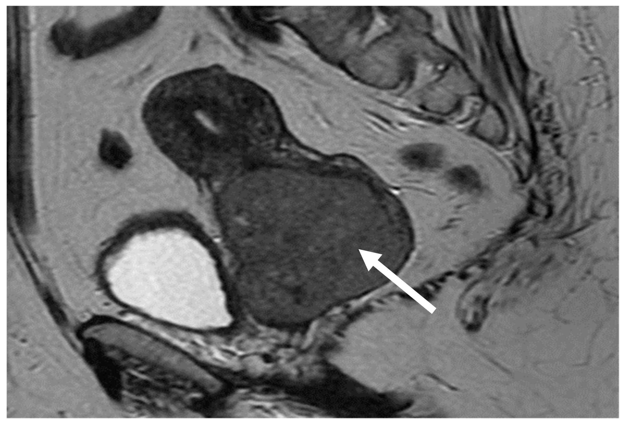 Medicina 58 00106 g001