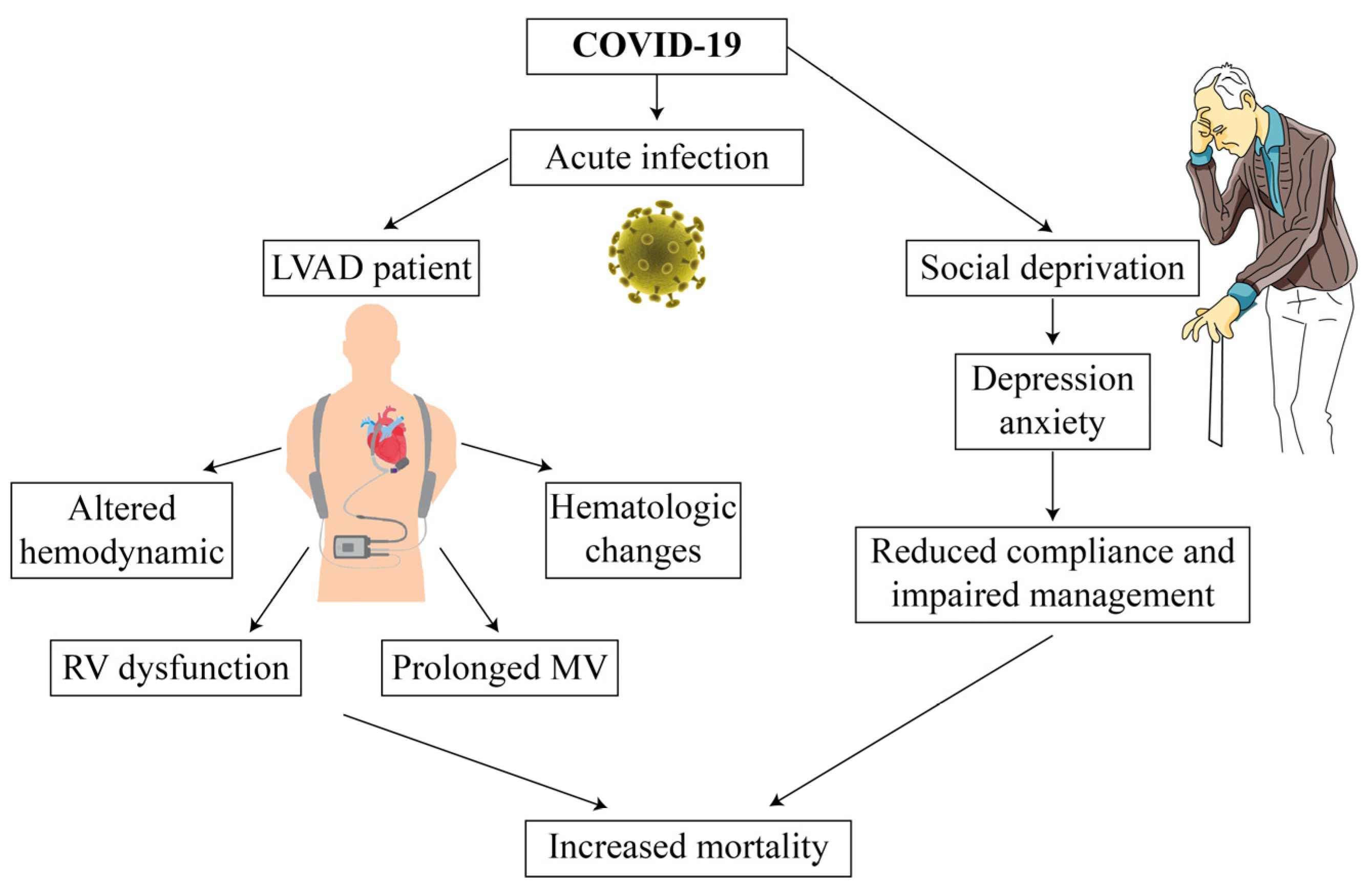 Medicina 58 00116 g001