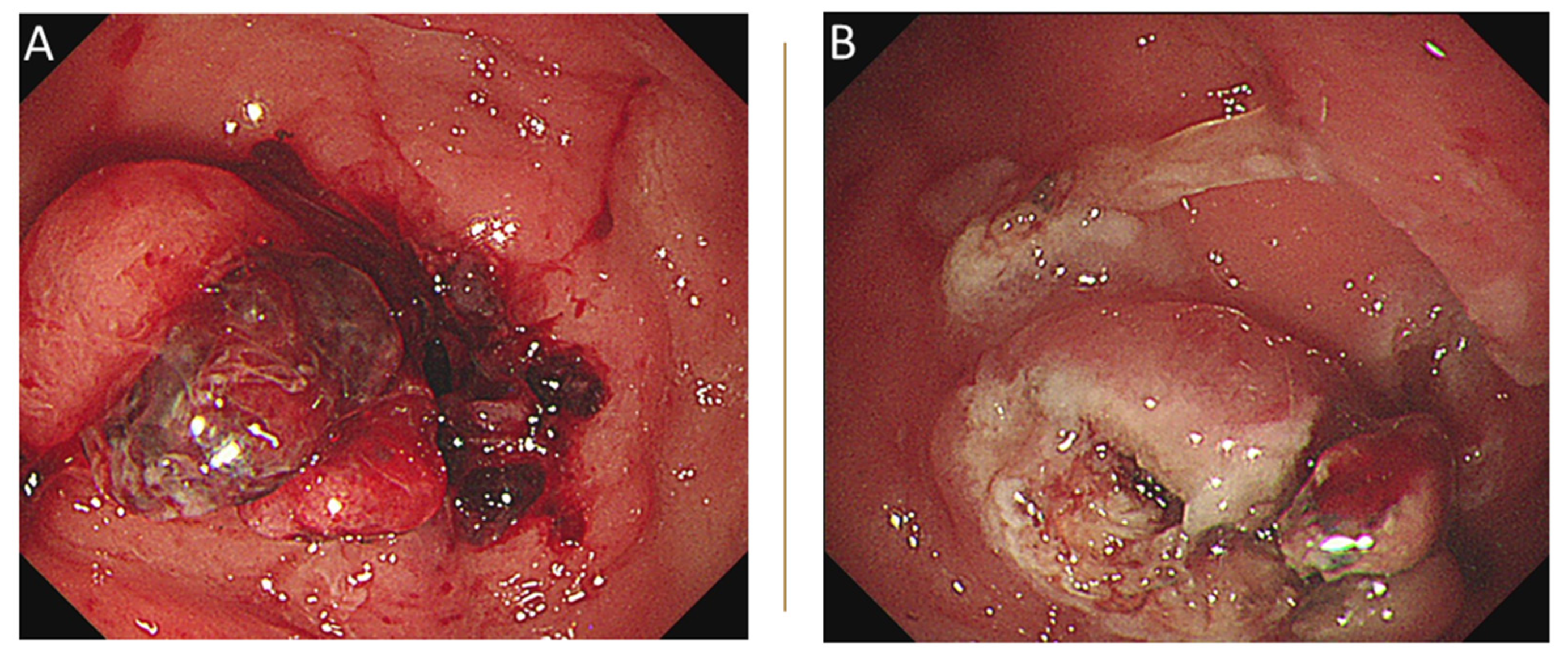 Medicina 58 00134 g002