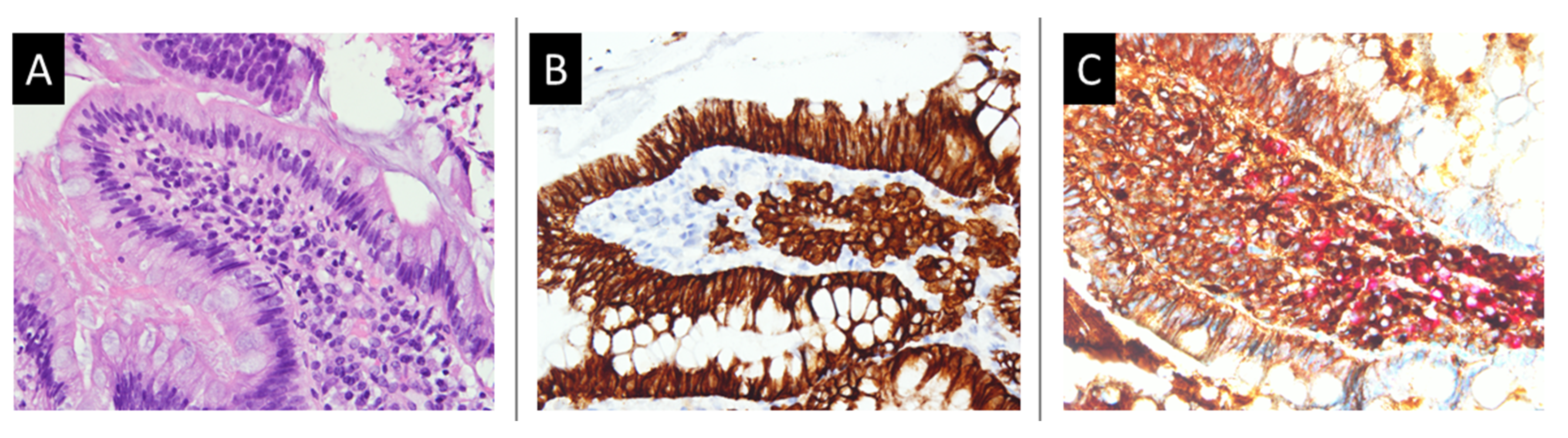 Medicina 58 00134 g003
