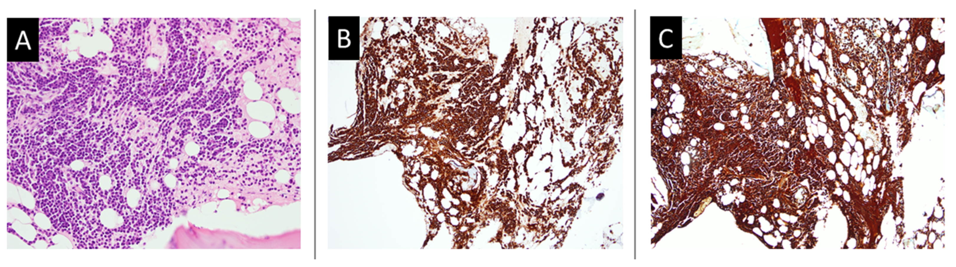 Medicina 58 00134 g004
