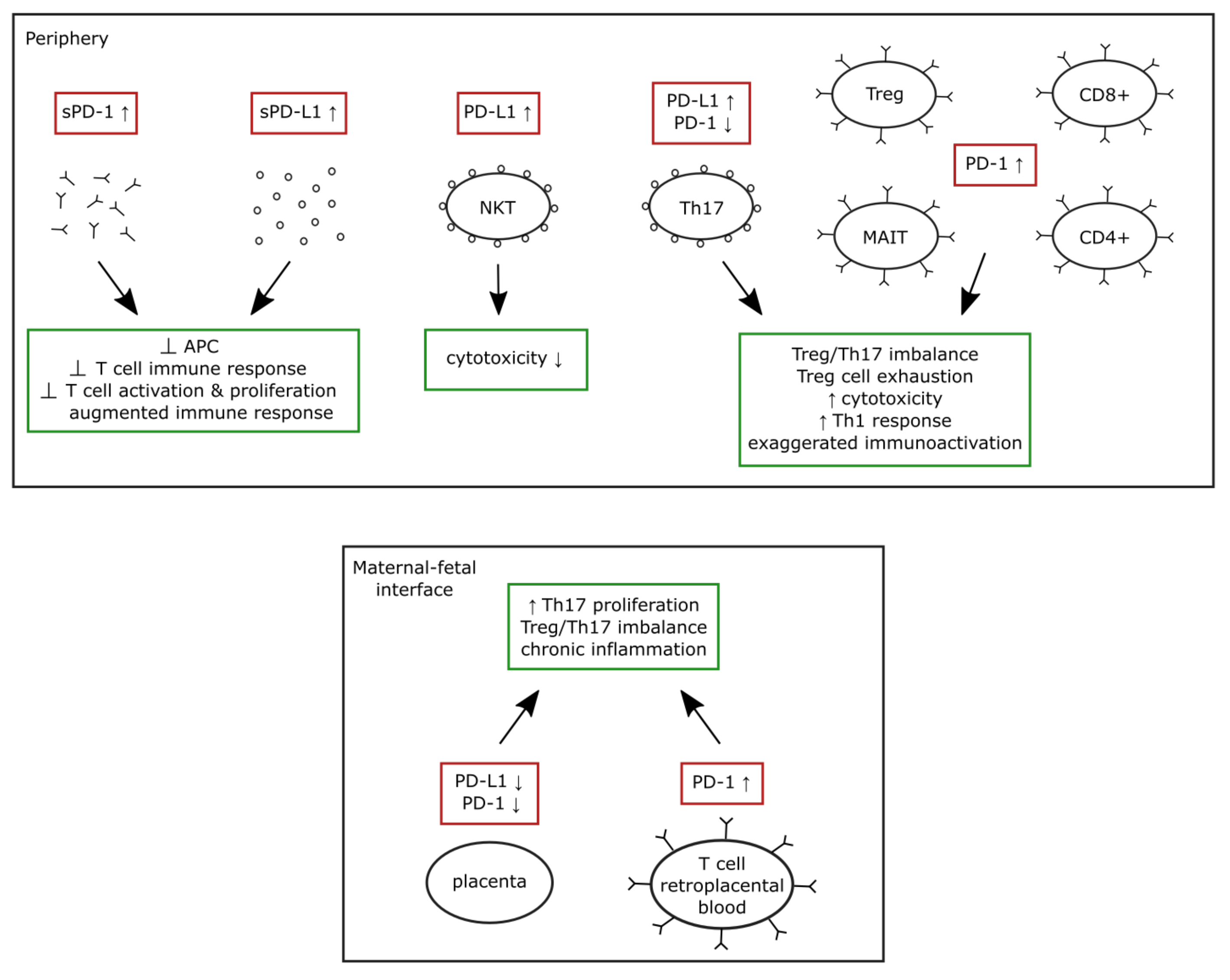 Medicina 58 00157 g001