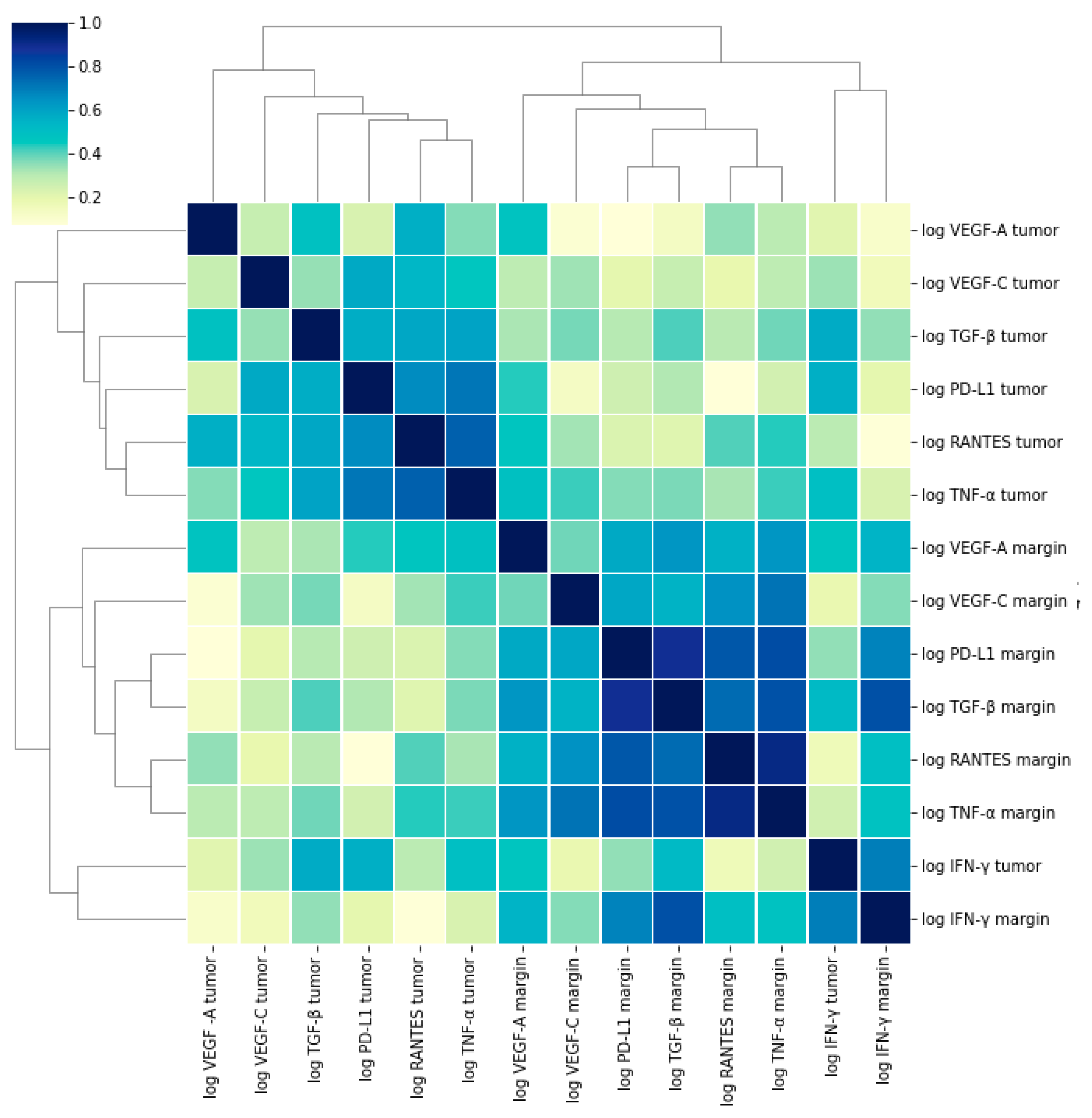 Medicina 58 00203 g003 Medicina 58 00203 g003