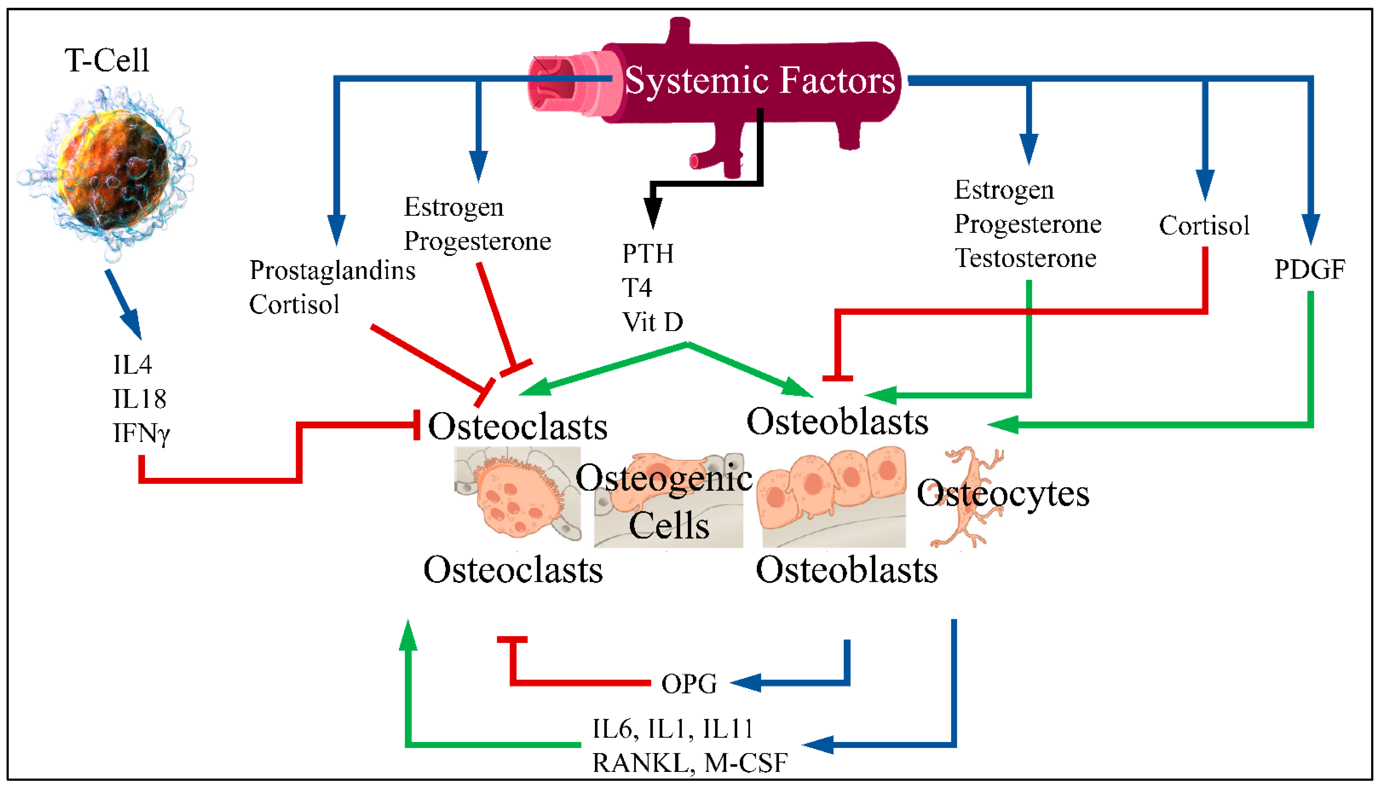 Medicina 58 00224 g001