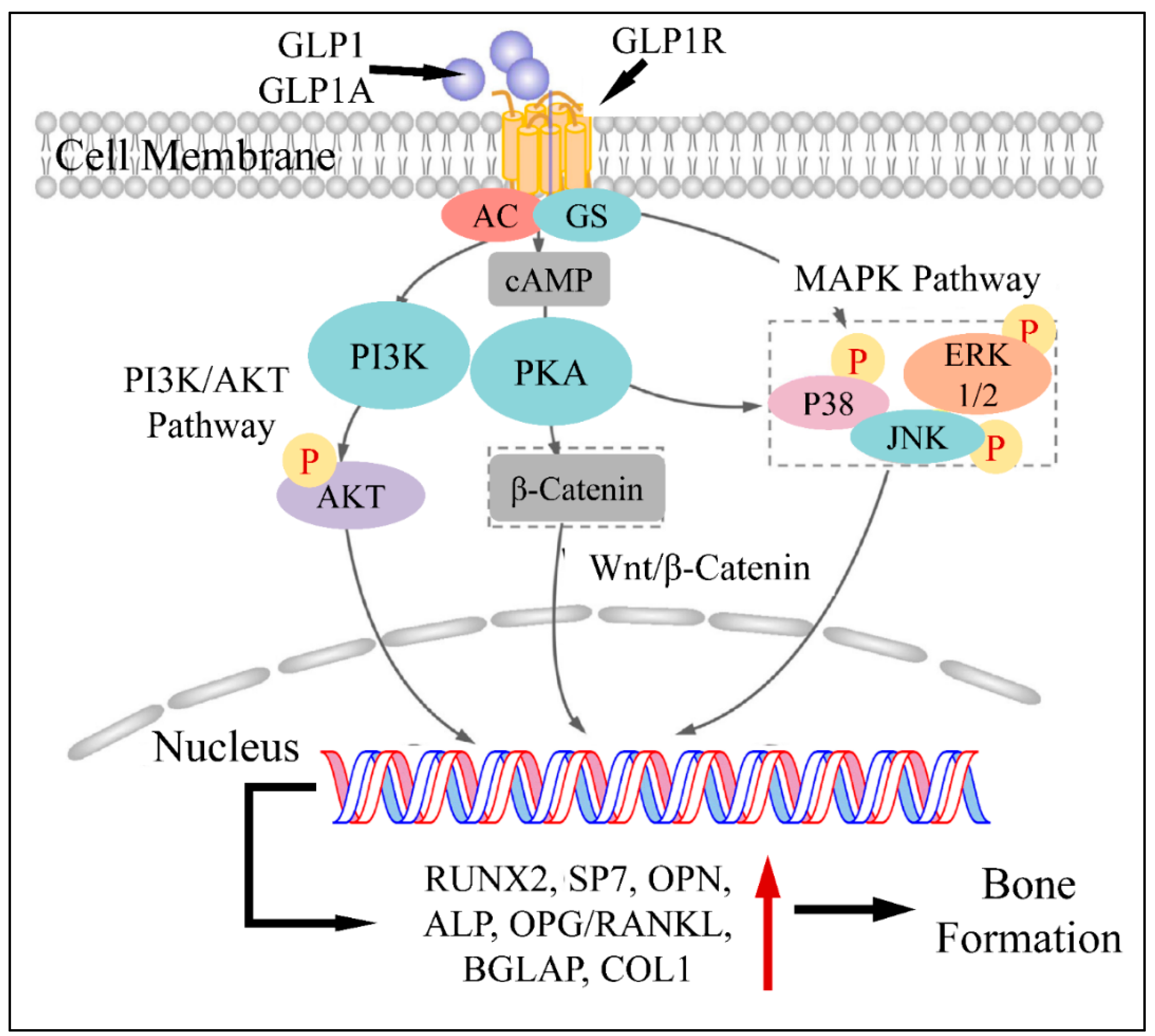 Medicina 58 00224 g002