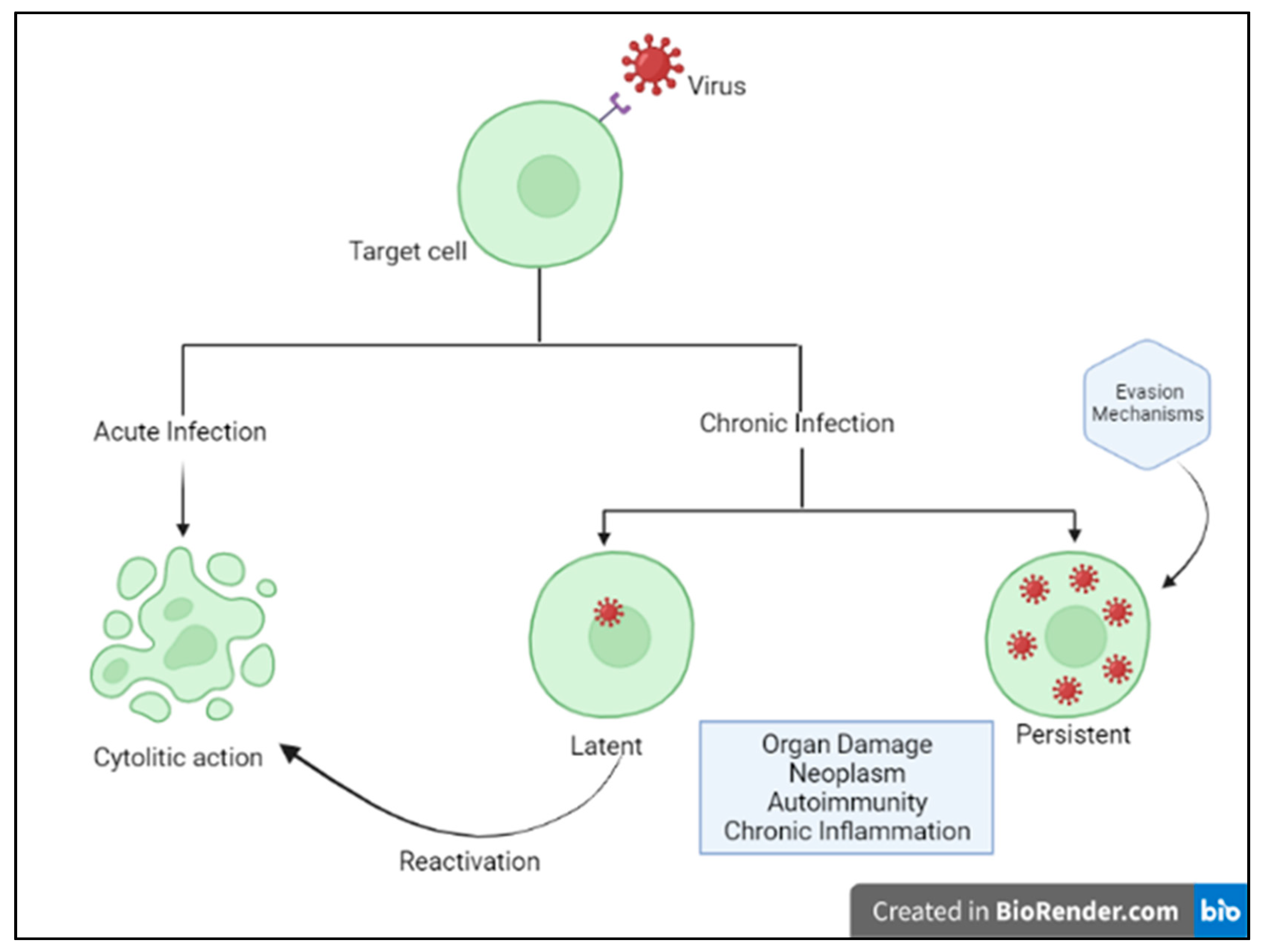 Medicina 58 00248 g001
