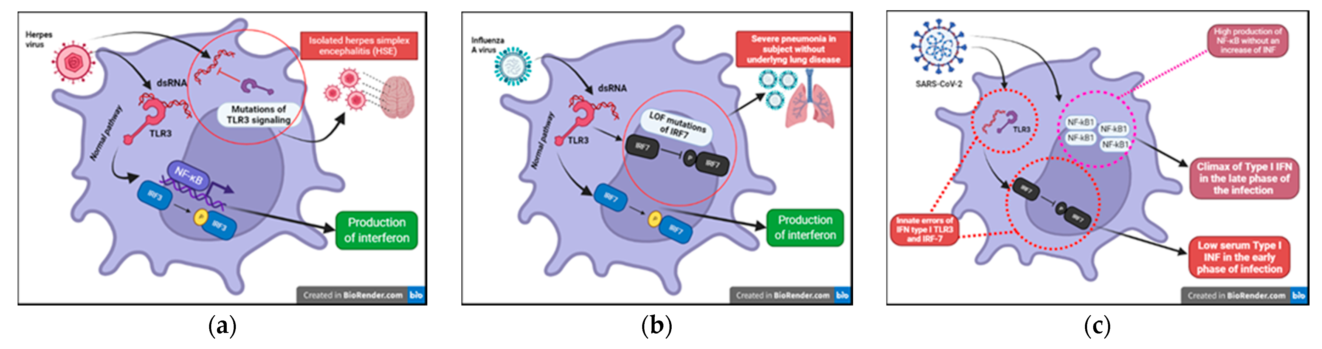 Medicina 58 00248 g006