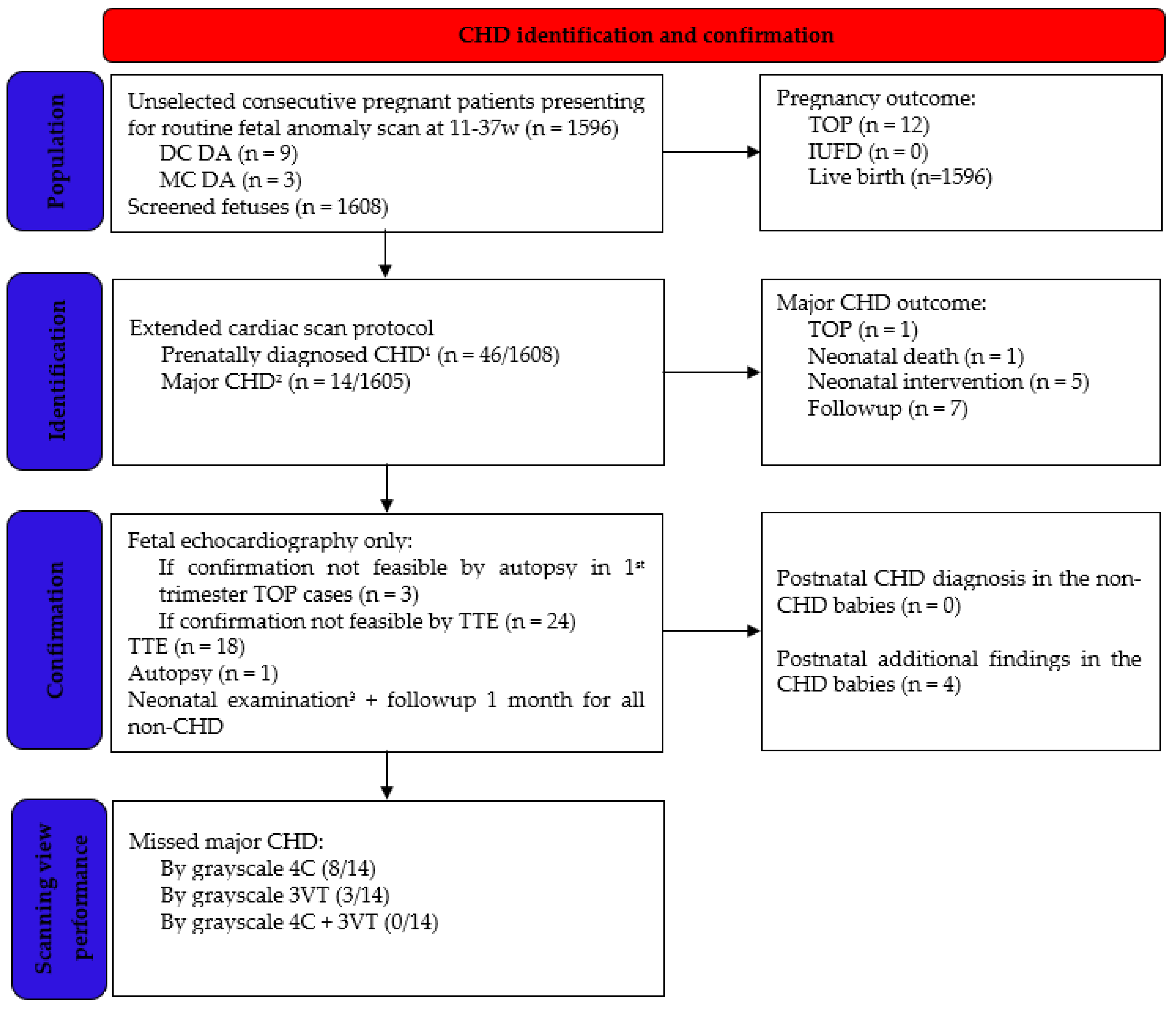 Medicina 58 00262 sch001