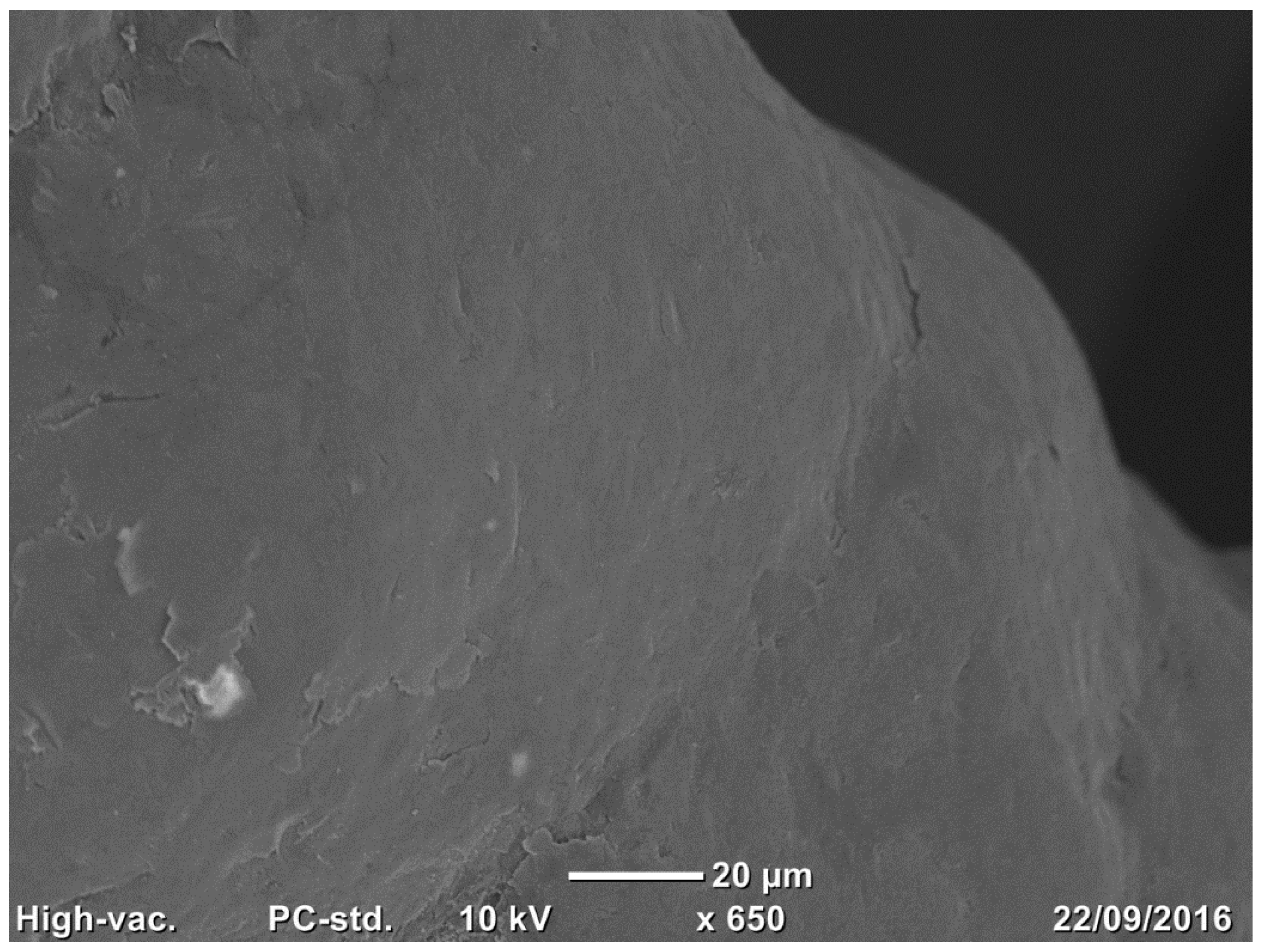 Medicina 58 00315 g002