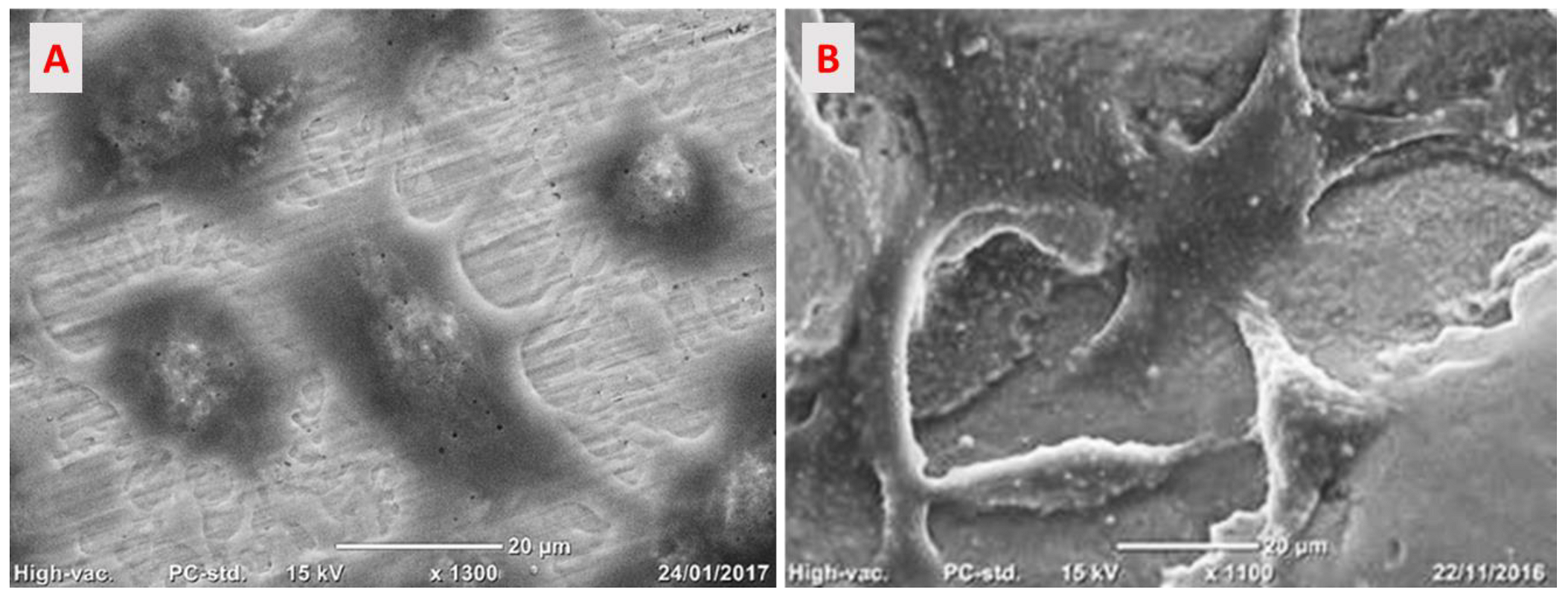 Medicina 58 00315 g008