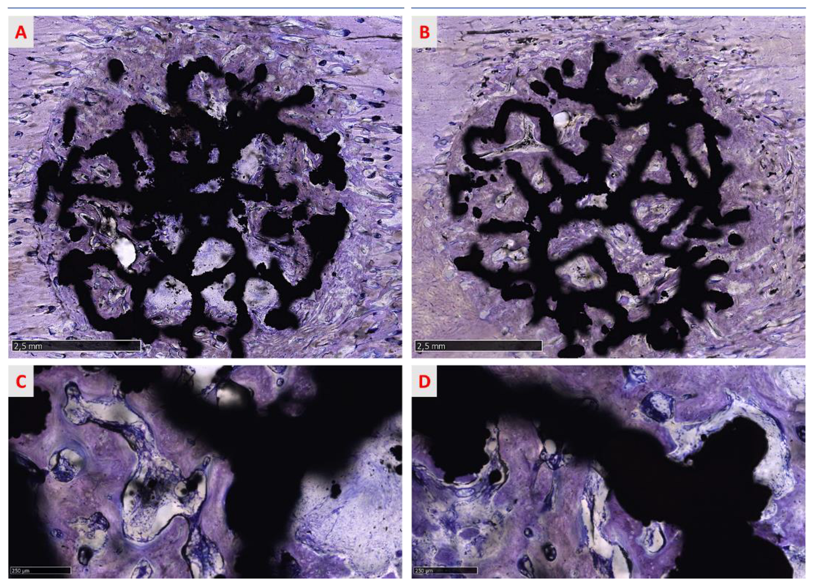 Medicina 58 00315 g009
