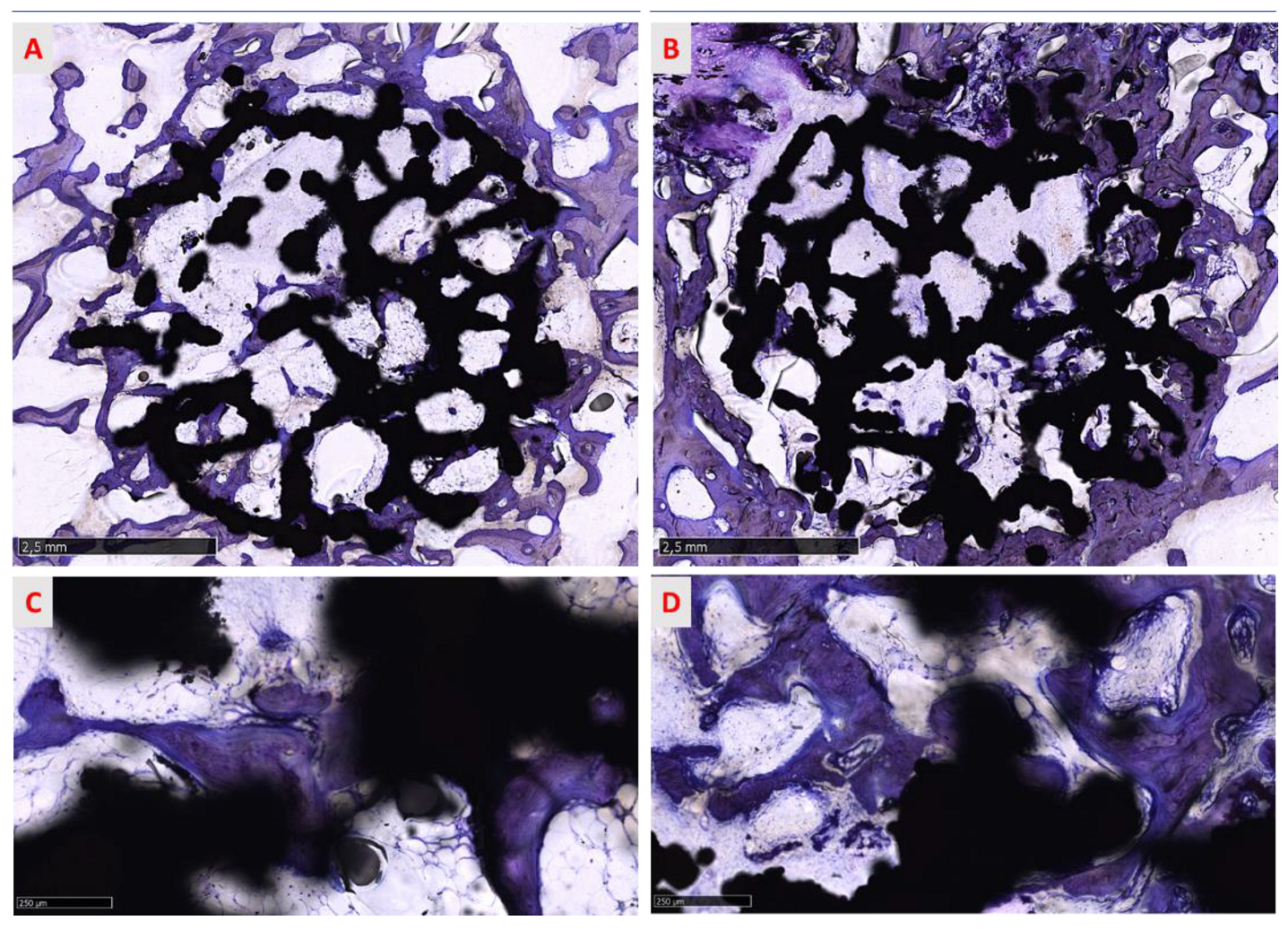 Medicina 58 00315 g010