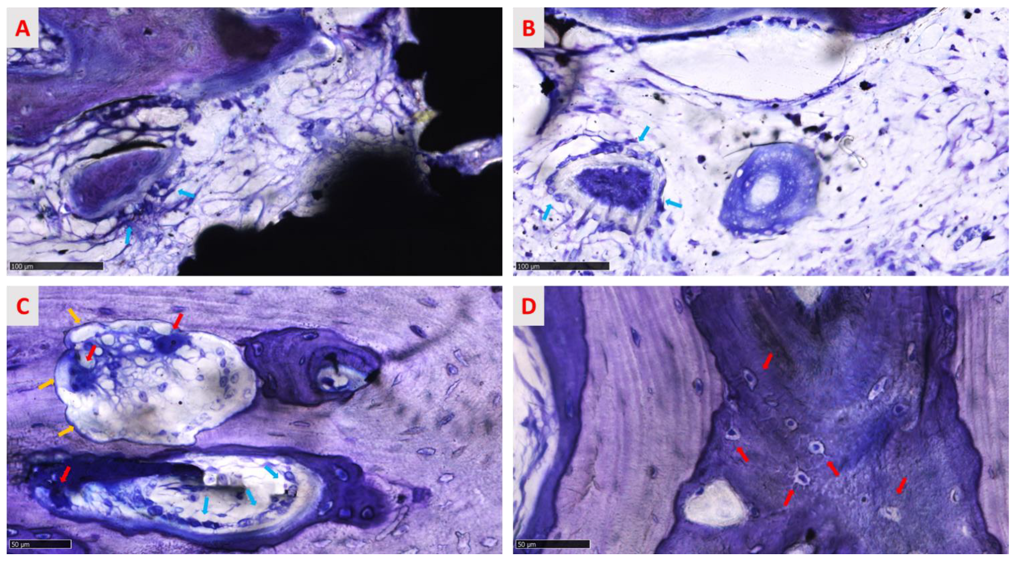 Medicina 58 00315 g012
