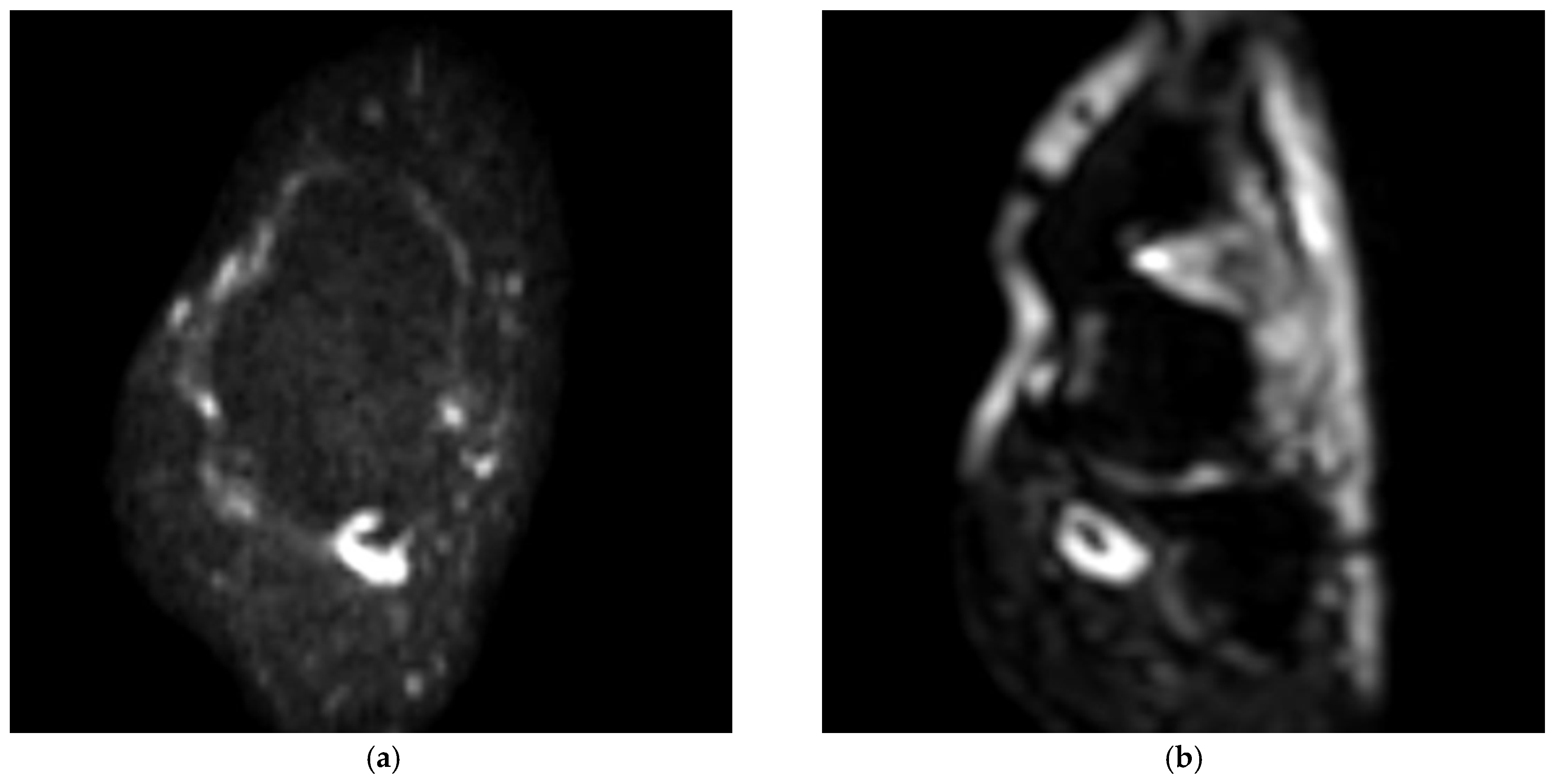 Medicina 58 00321 g001