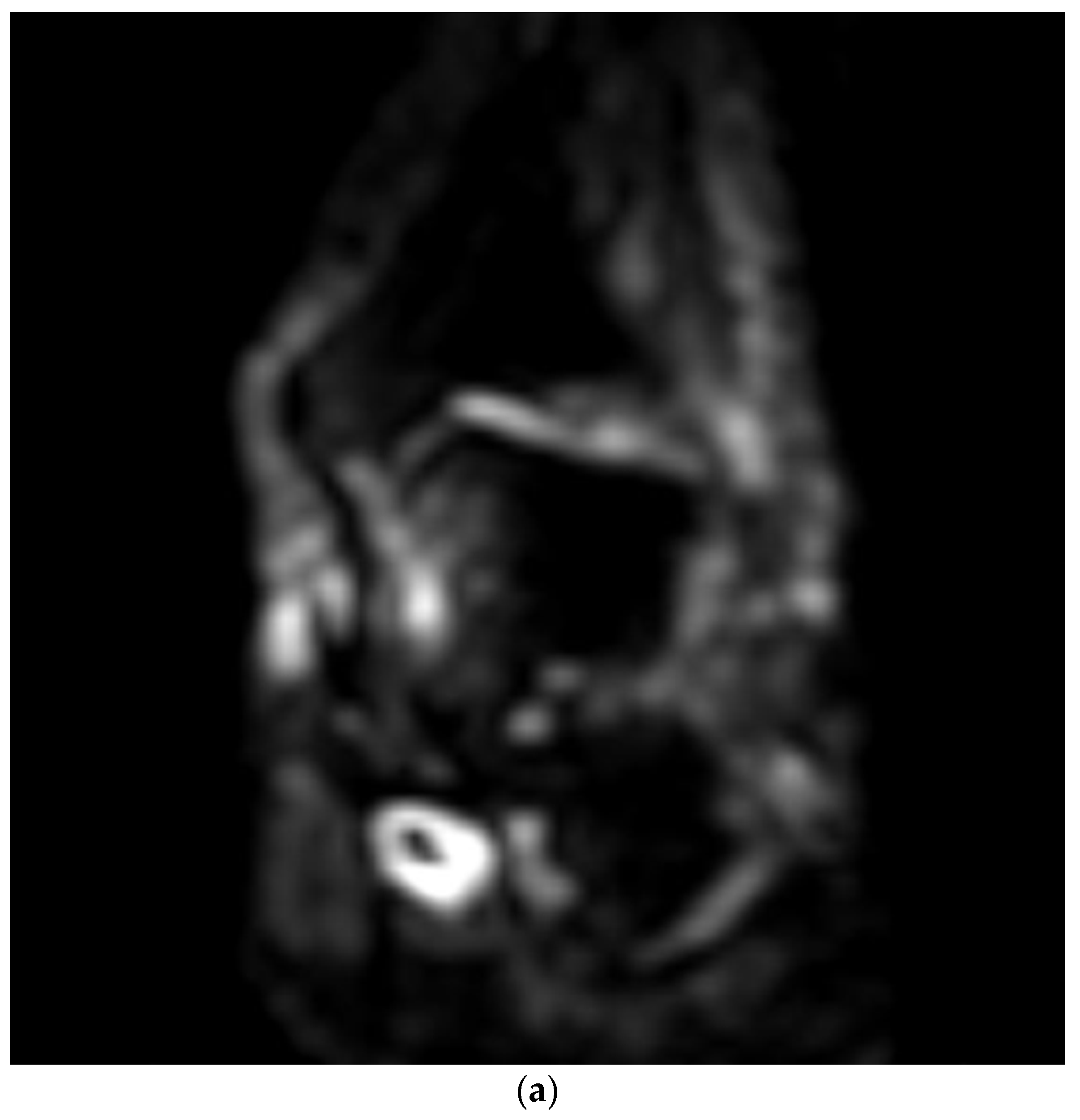 Medicina 58 00321 g003a