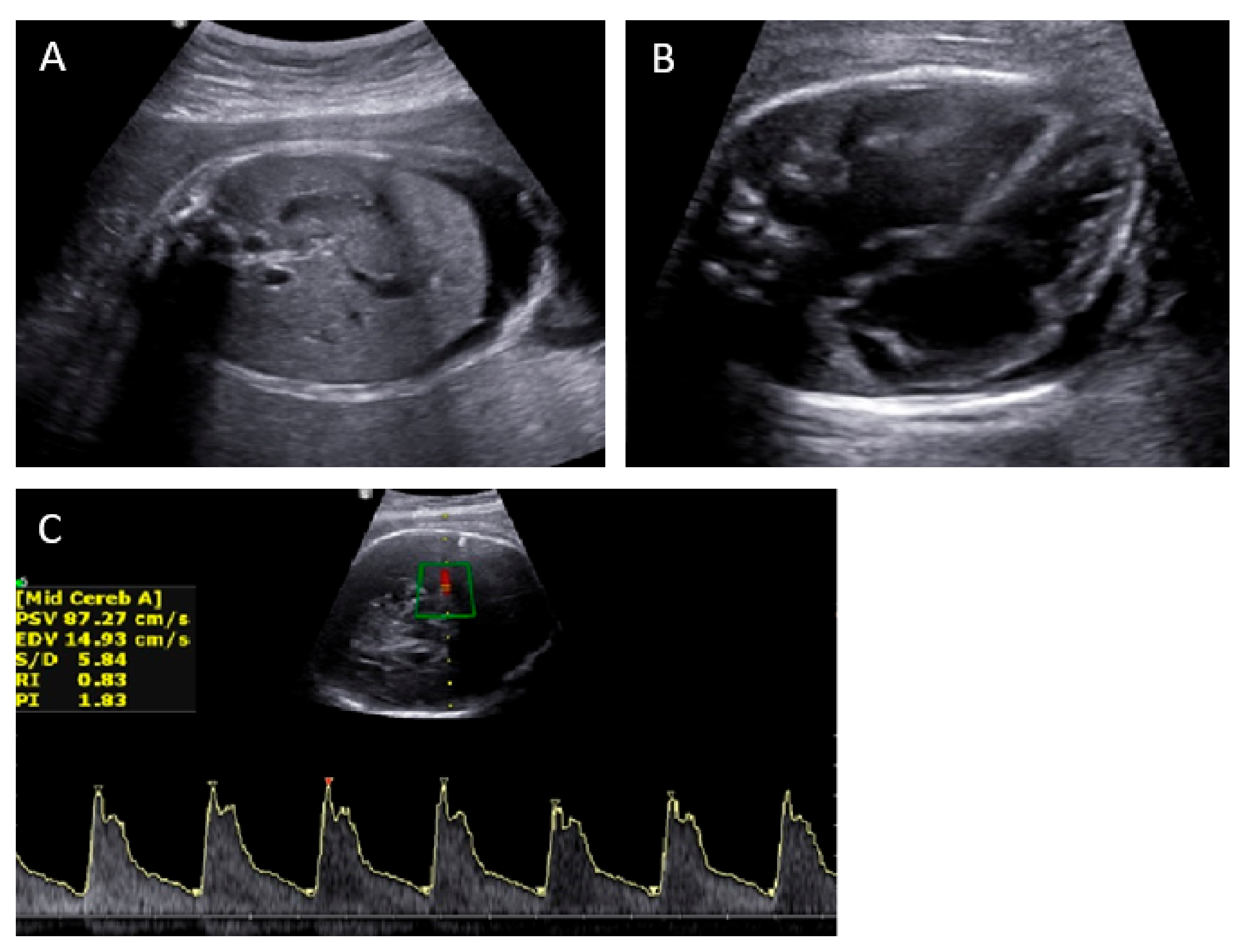 Medicina 58 00328 g001