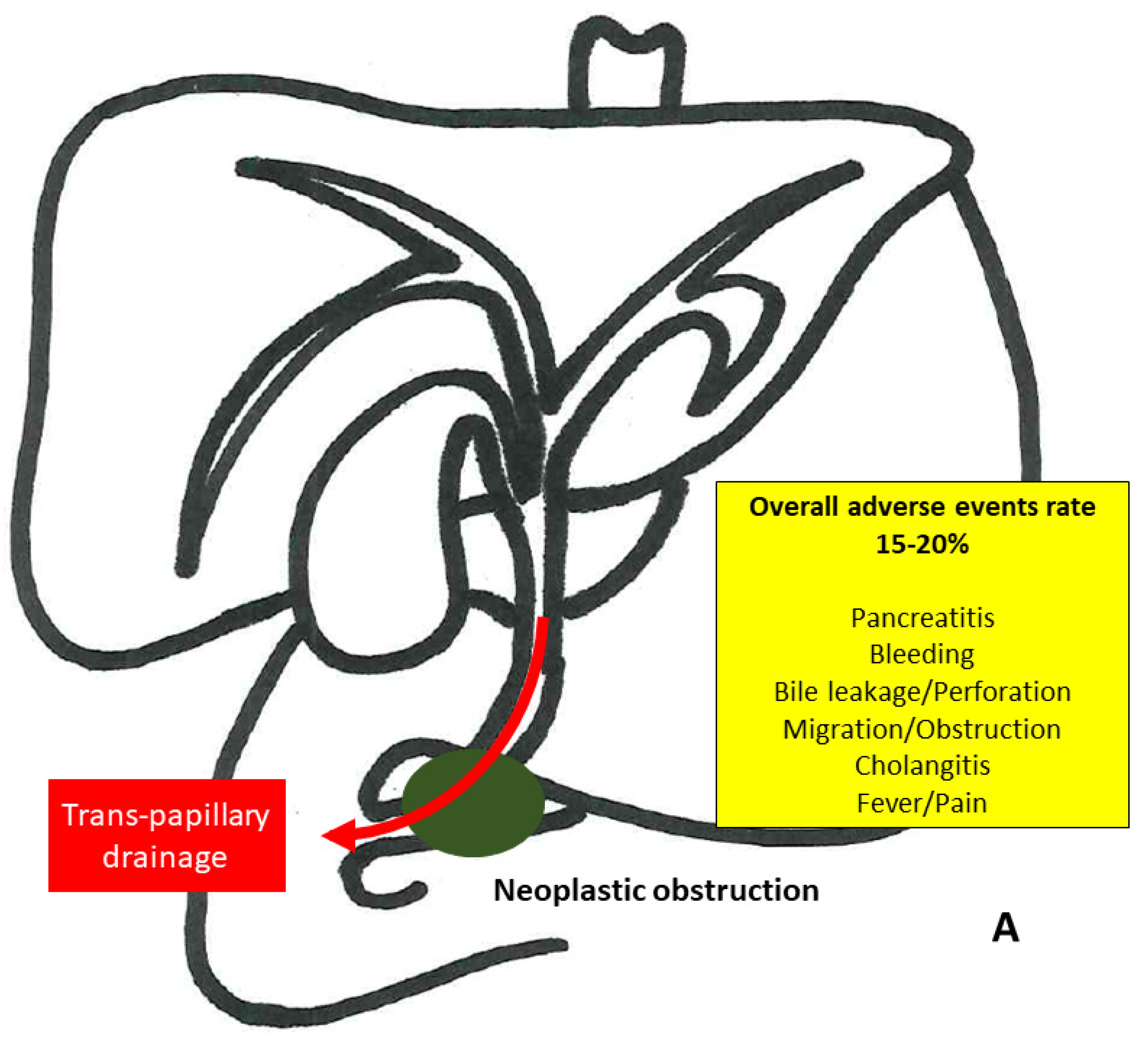 Medicina 58 00331 g001a