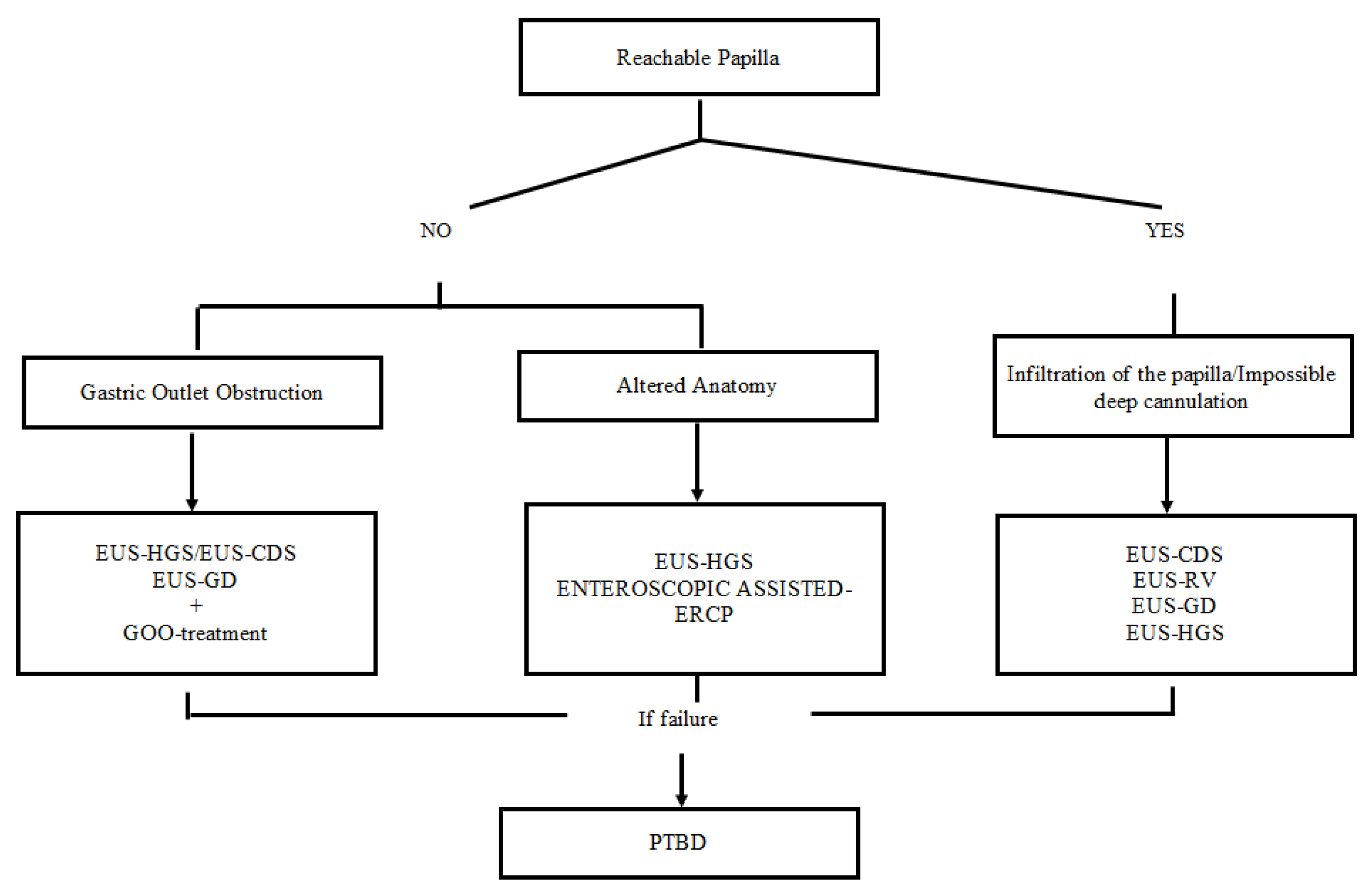 Medicina 58 00331 g002