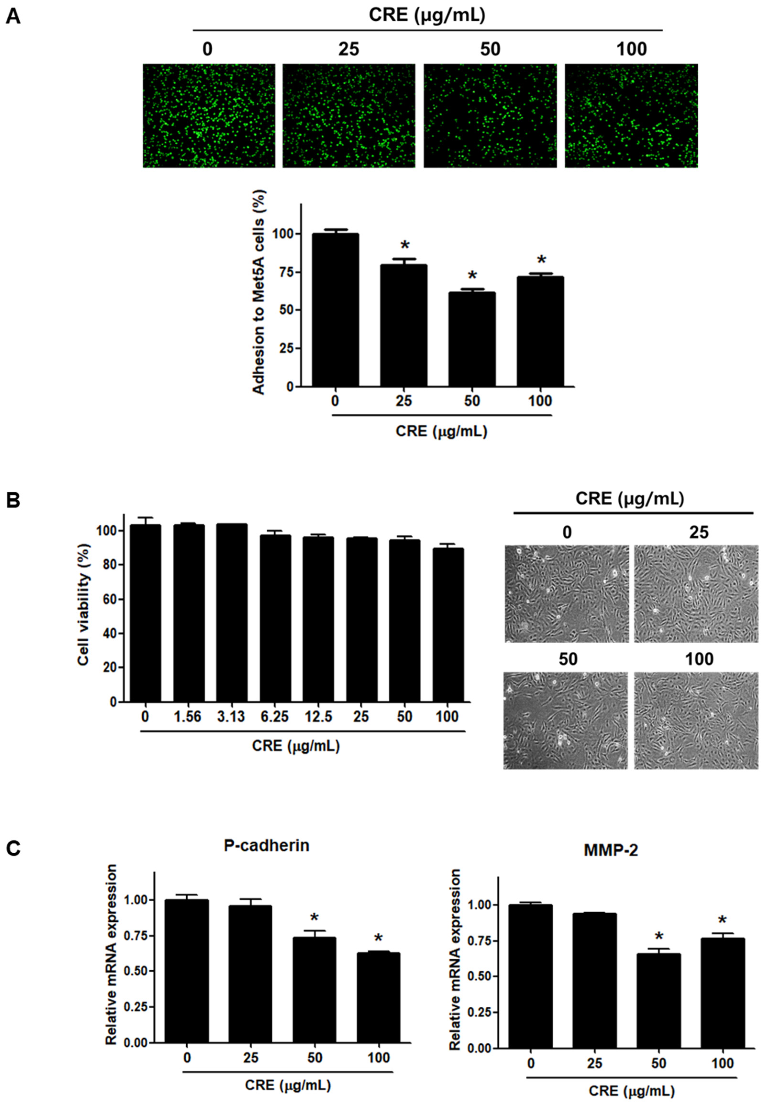 Medicina 58 00335 g001