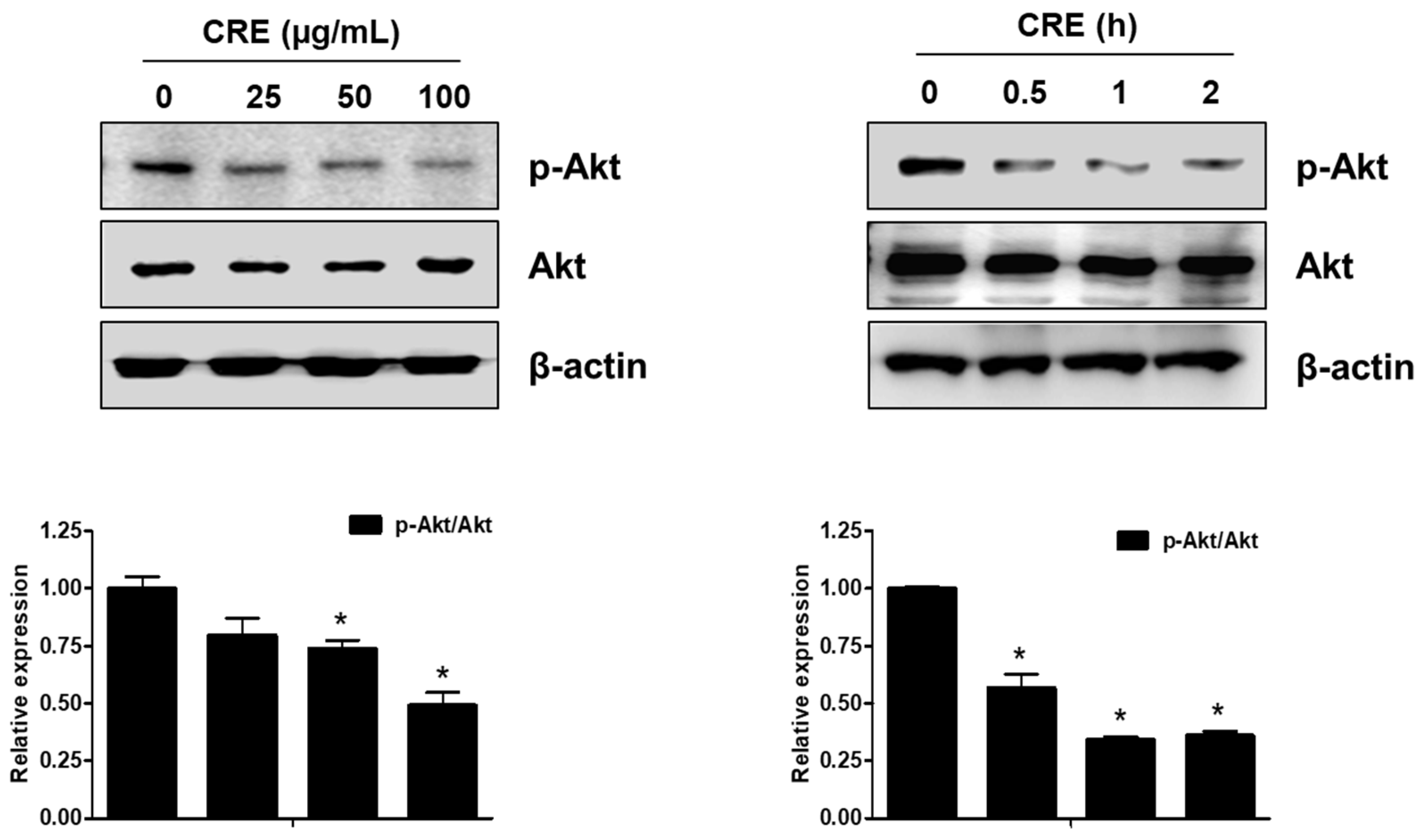 Medicina 58 00335 g003