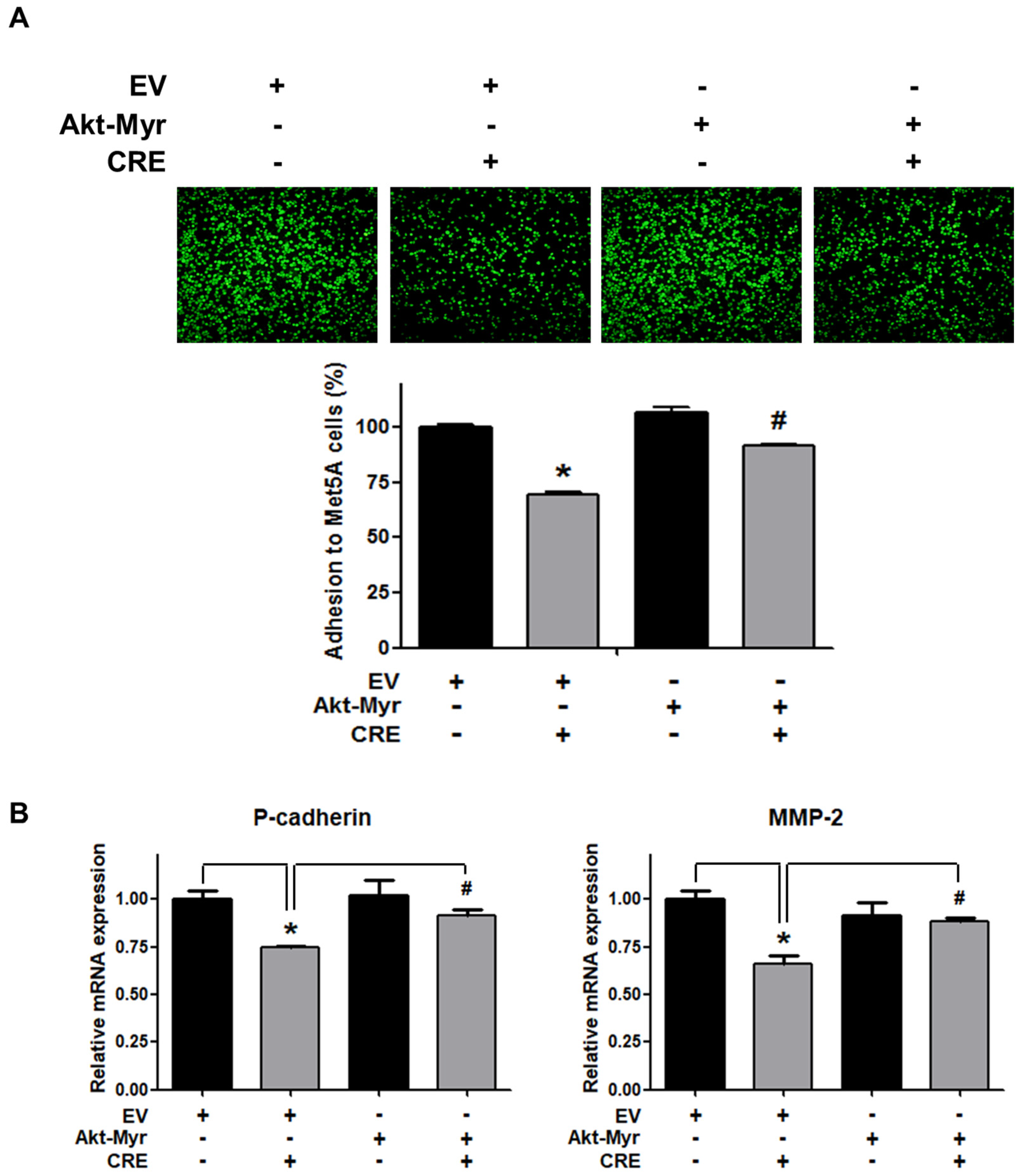 Medicina 58 00335 g004