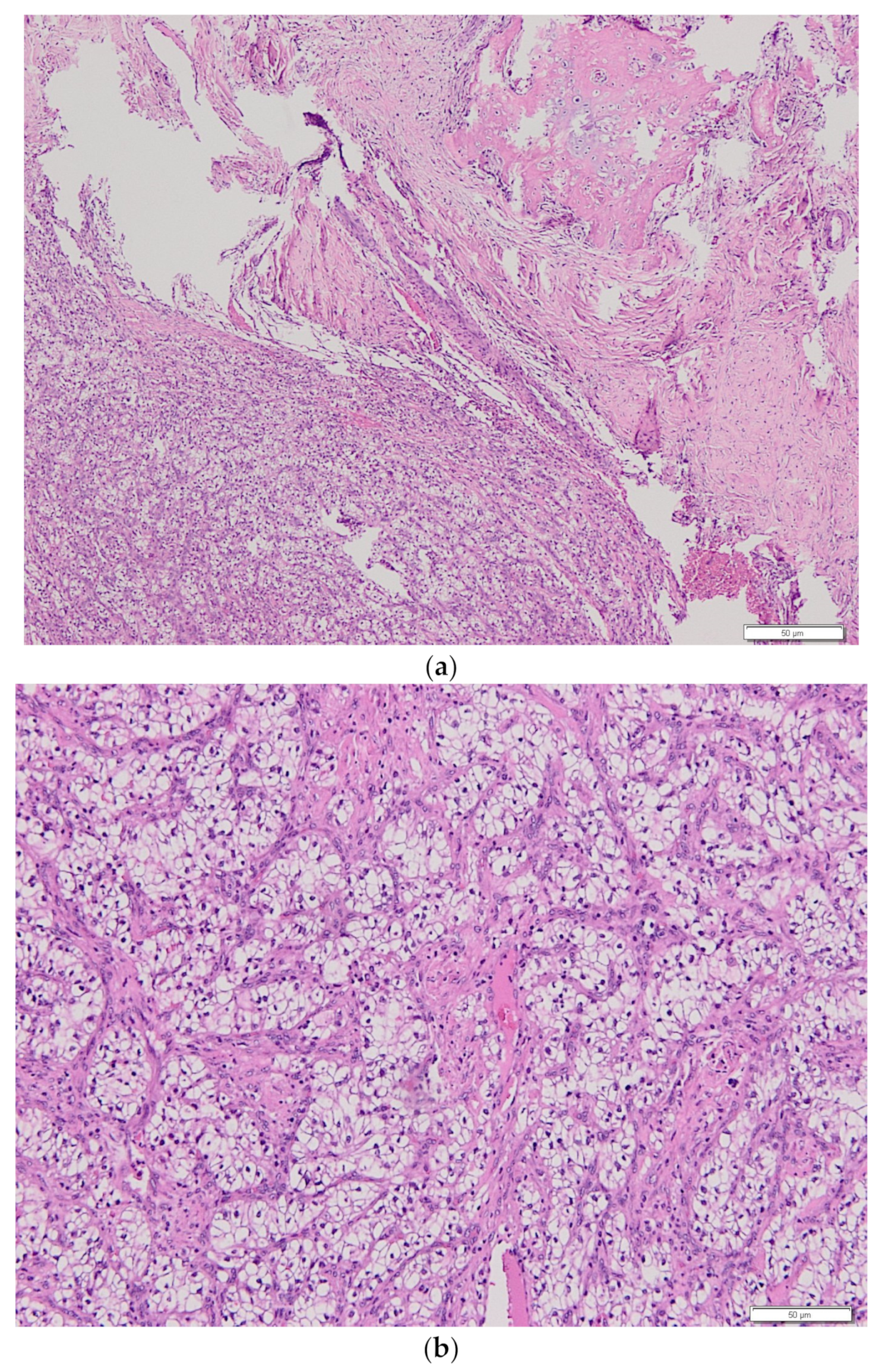 Medicina 58 00336 g002