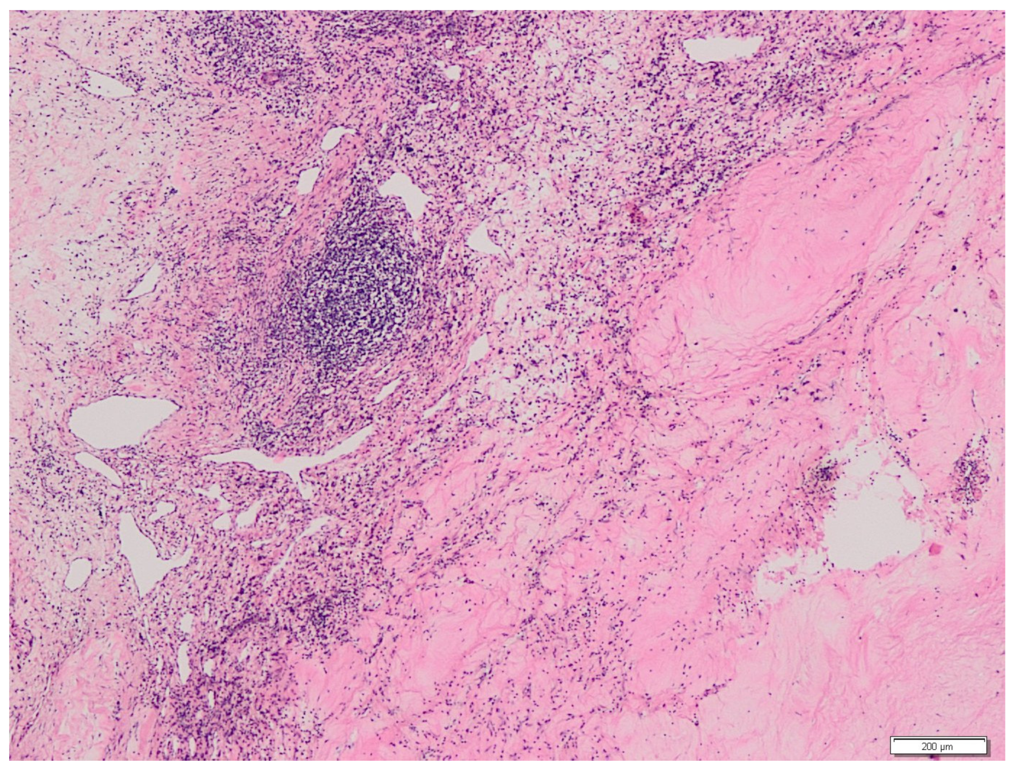 Medicina 58 00336 g003