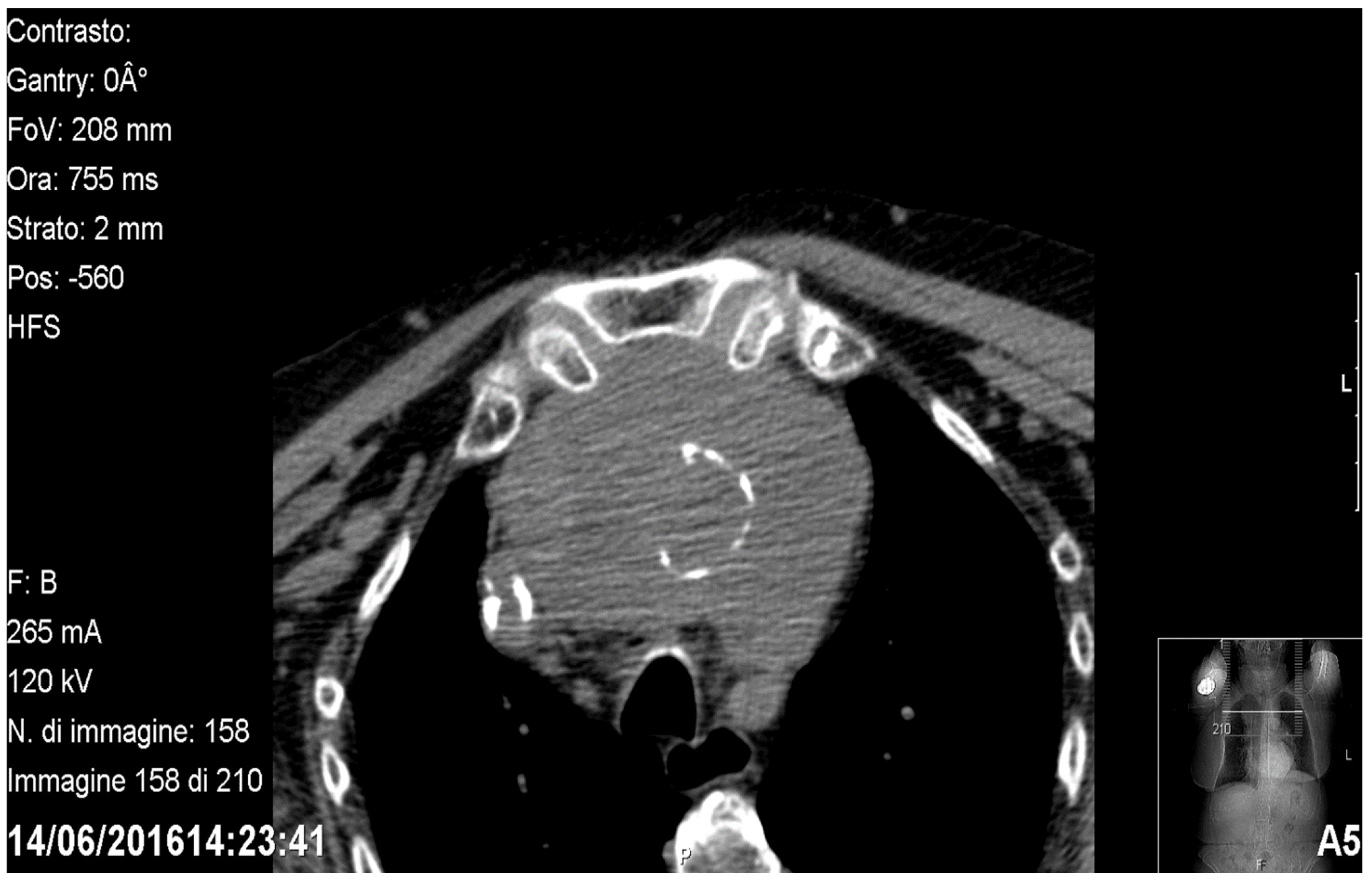 Medicina 58 00349 g001