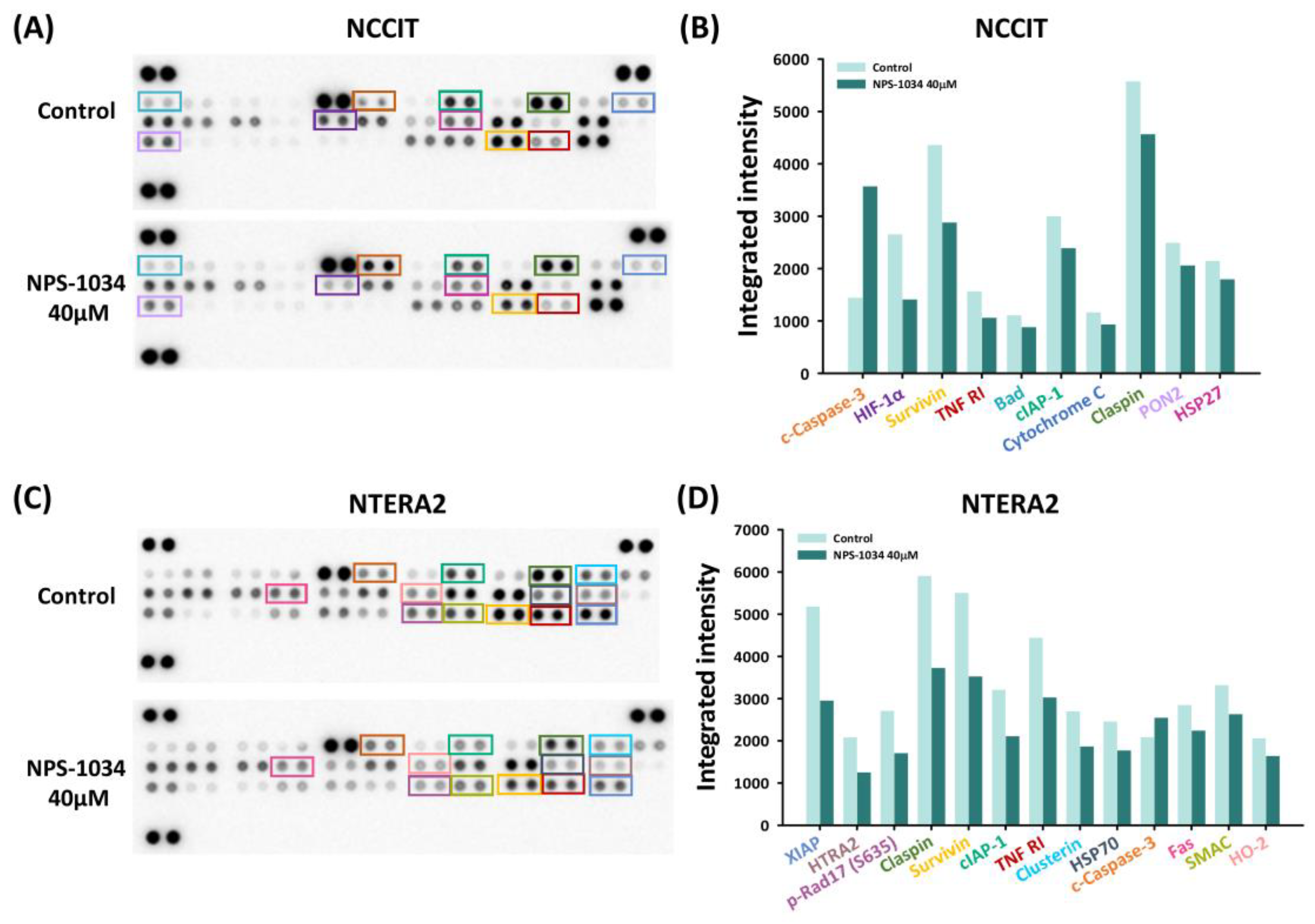 Medicina 58 00355 g003