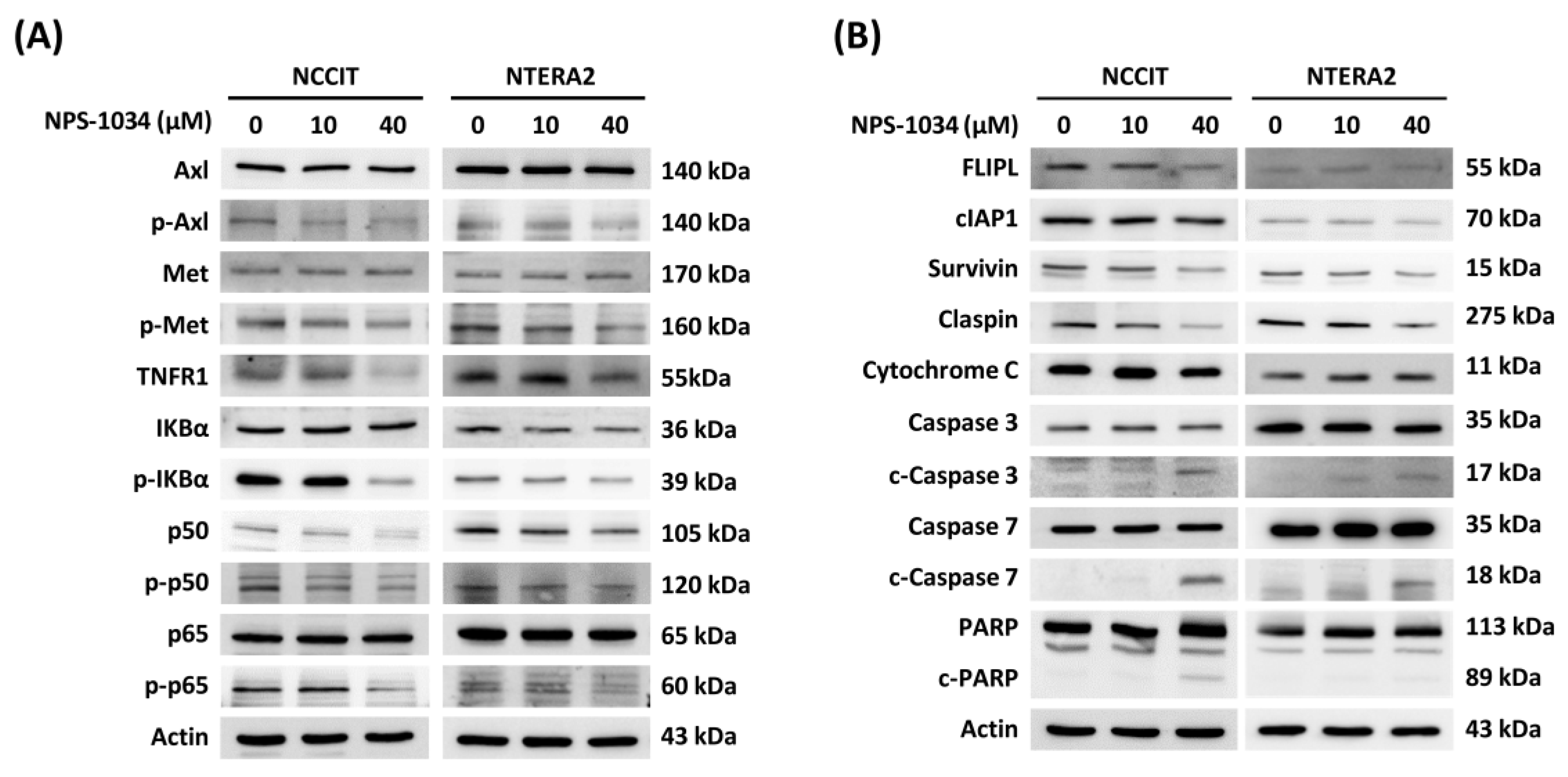 Medicina 58 00355 g004