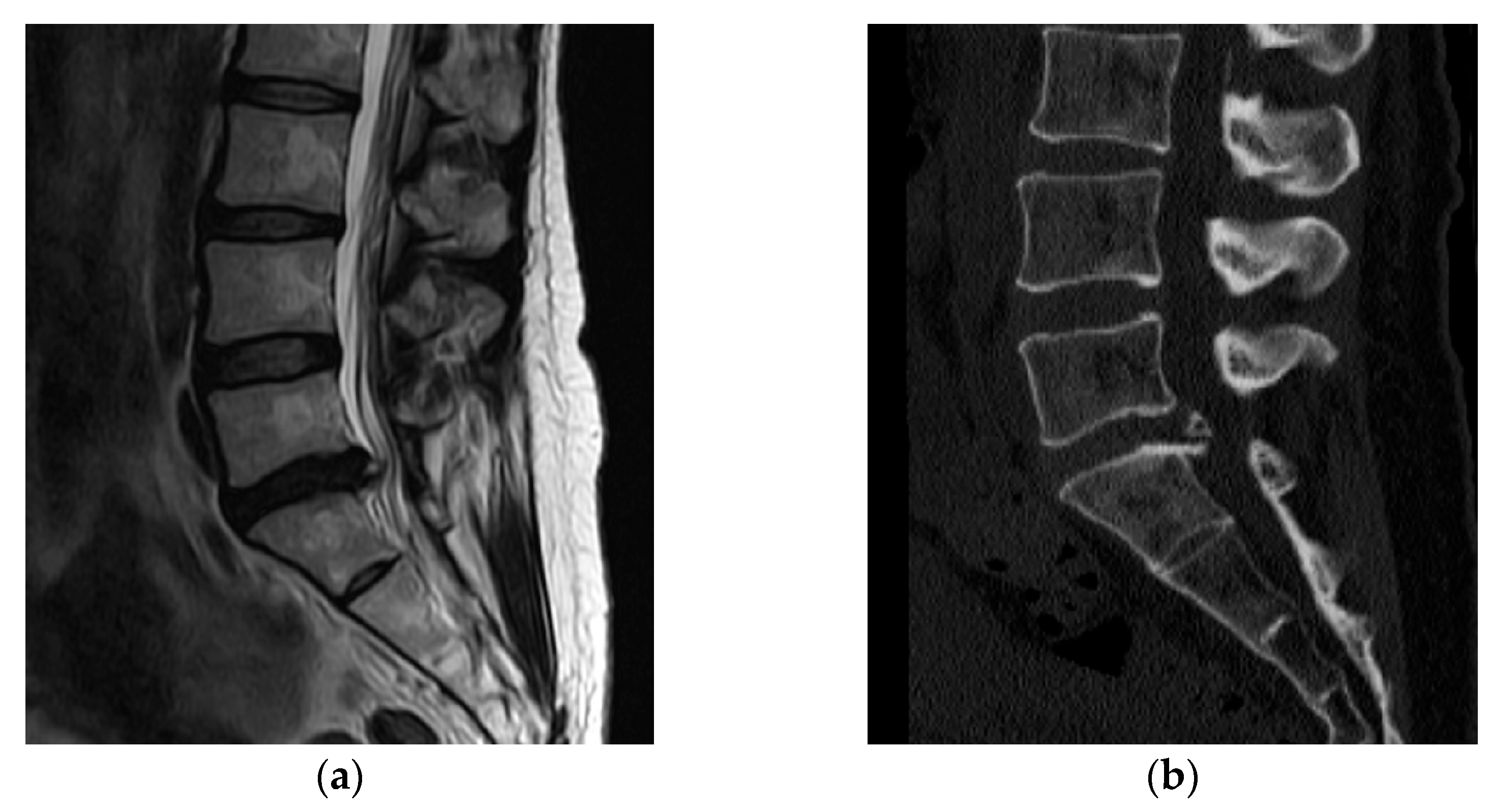 Medicina 58 00371 g001