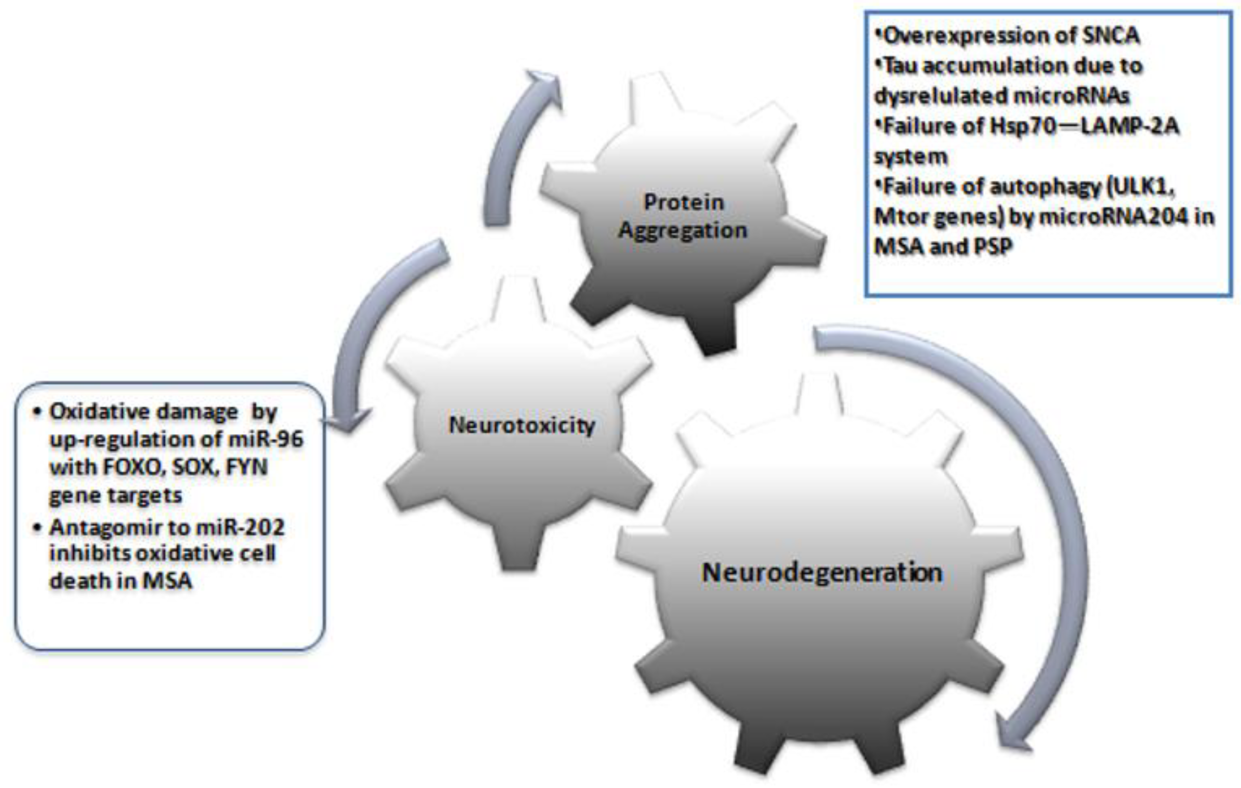 Medicina 58 00483 g002