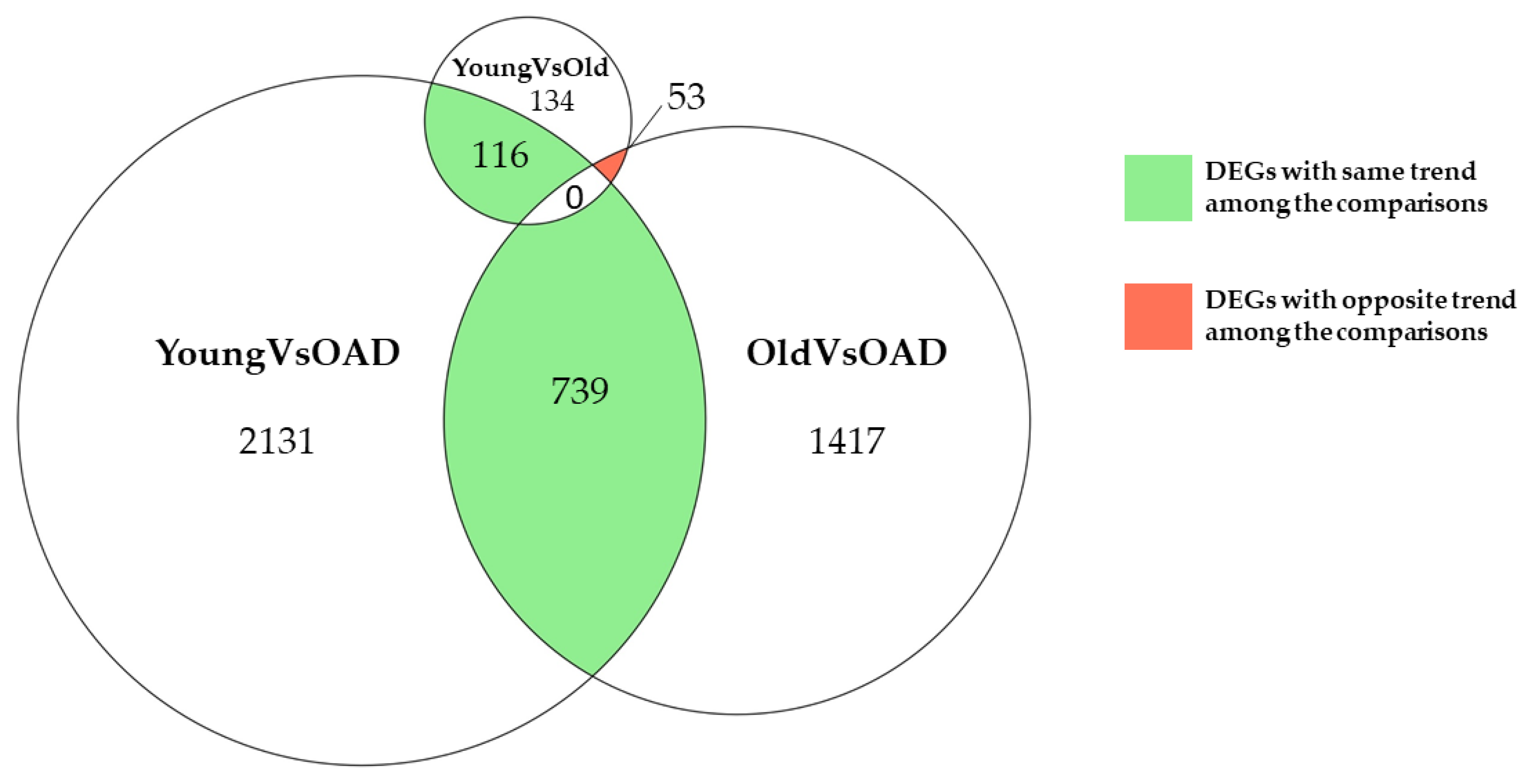 Medicina 58 00493 g001 Medicina 58 00493 g001
