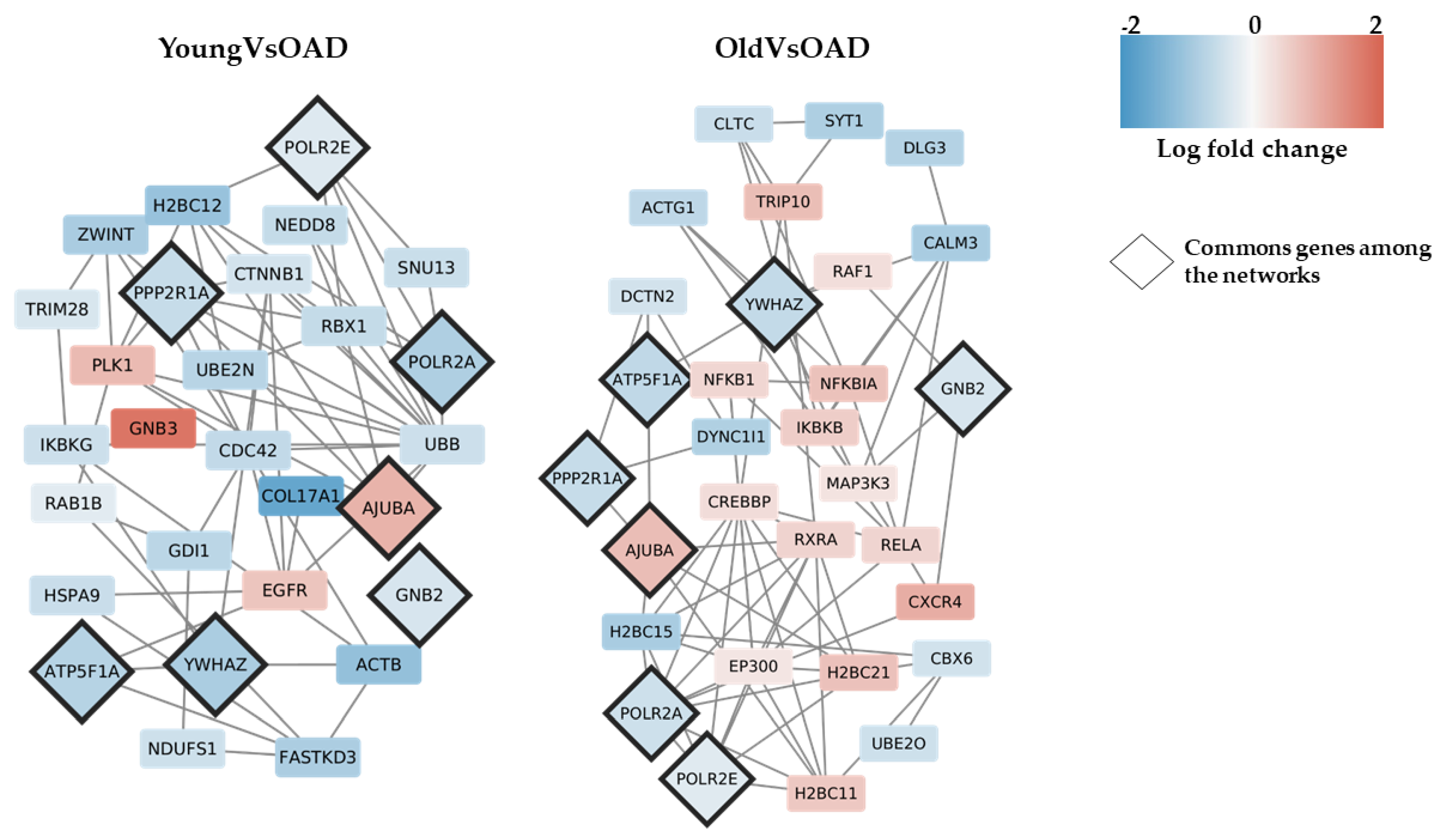 Medicina 58 00493 g002 Medicina 58 00493 g002