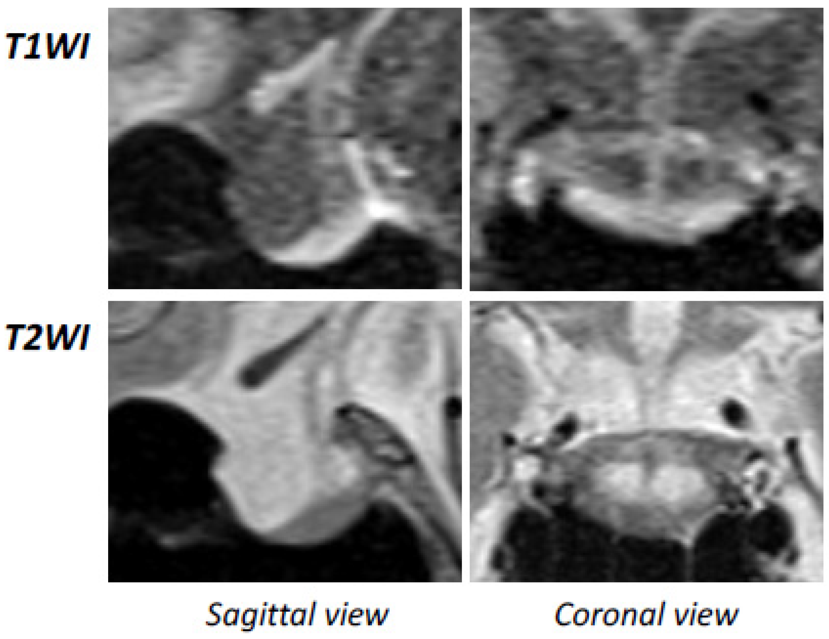Medicina 58 00536 g001