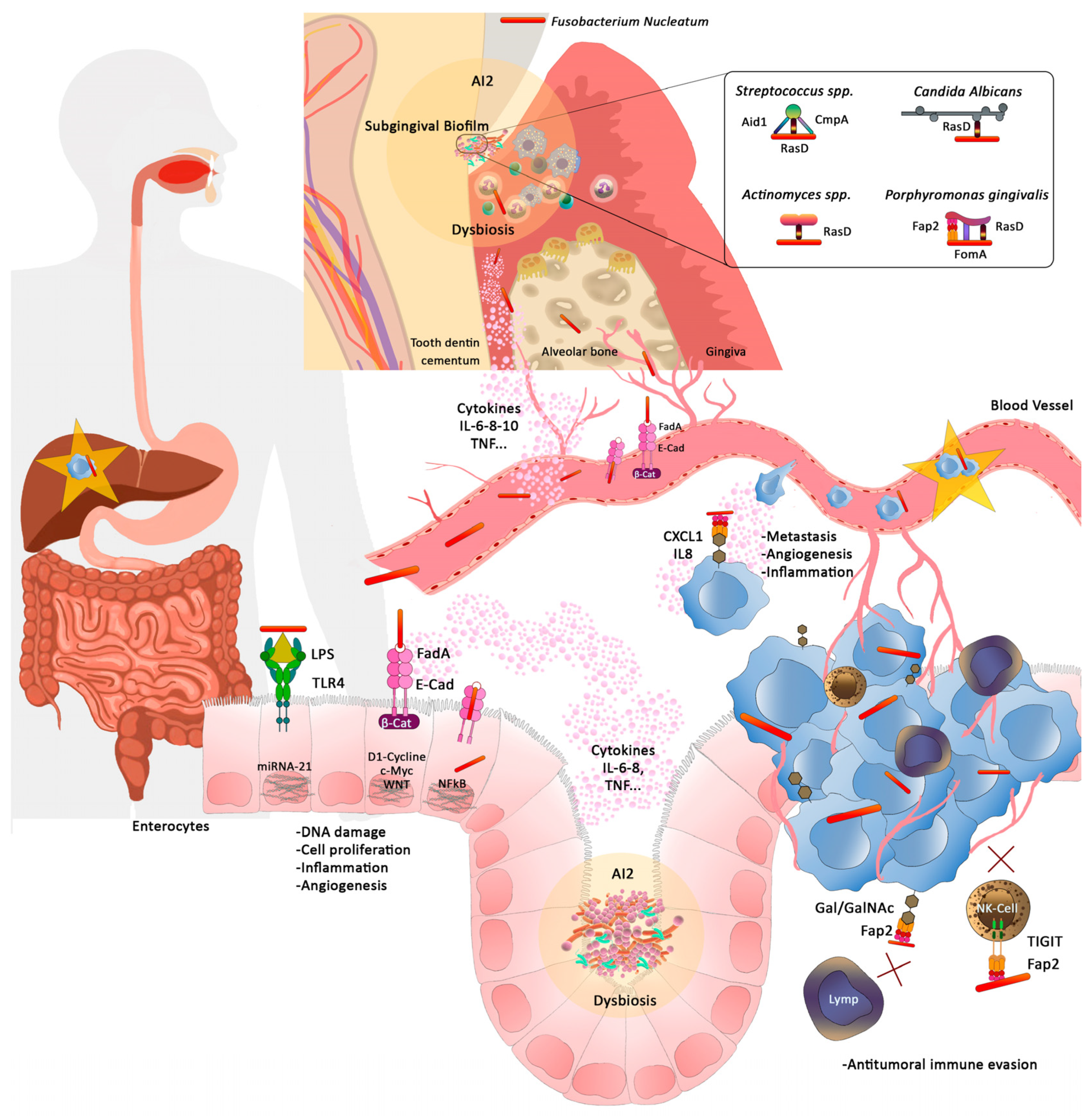 Medicina 58 00546 g002