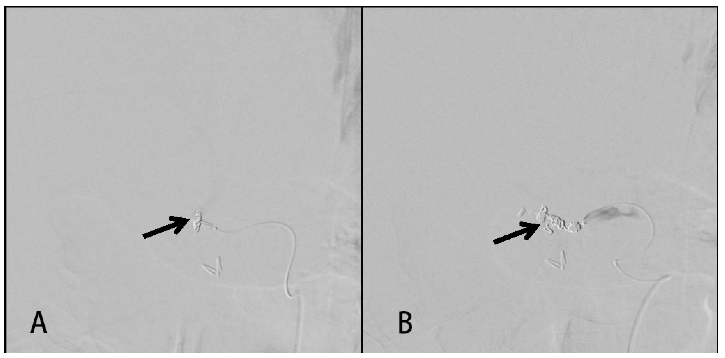 Medicina 58 00568 g003