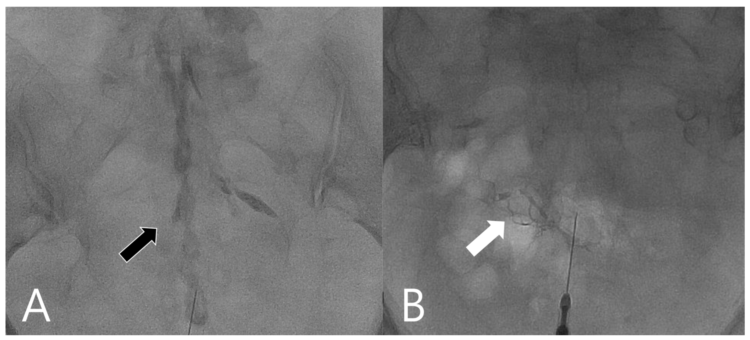 Medicina 58 00575 g001 Medicina 58 00575 g001