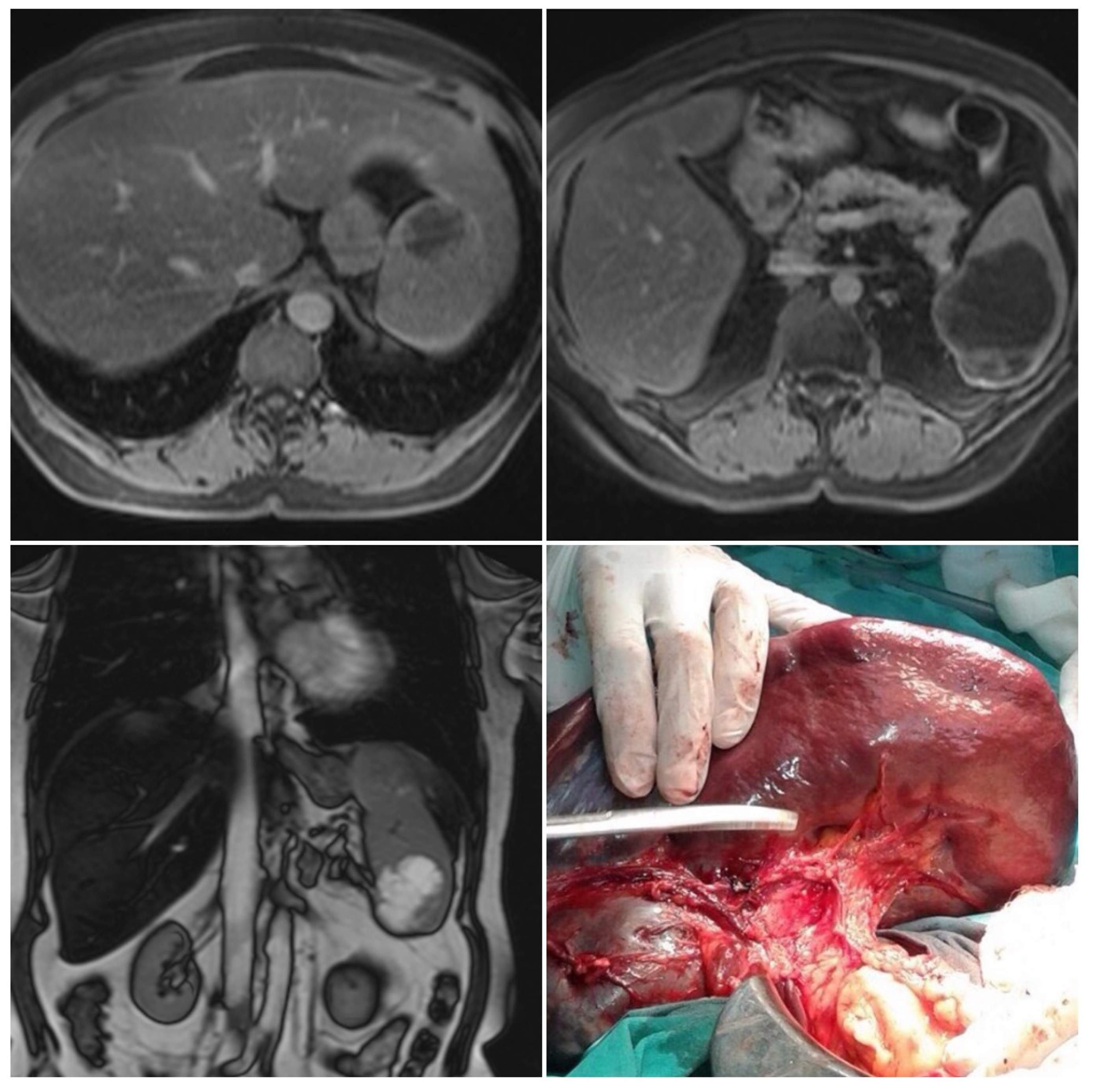 Medicina 58 00592 g001