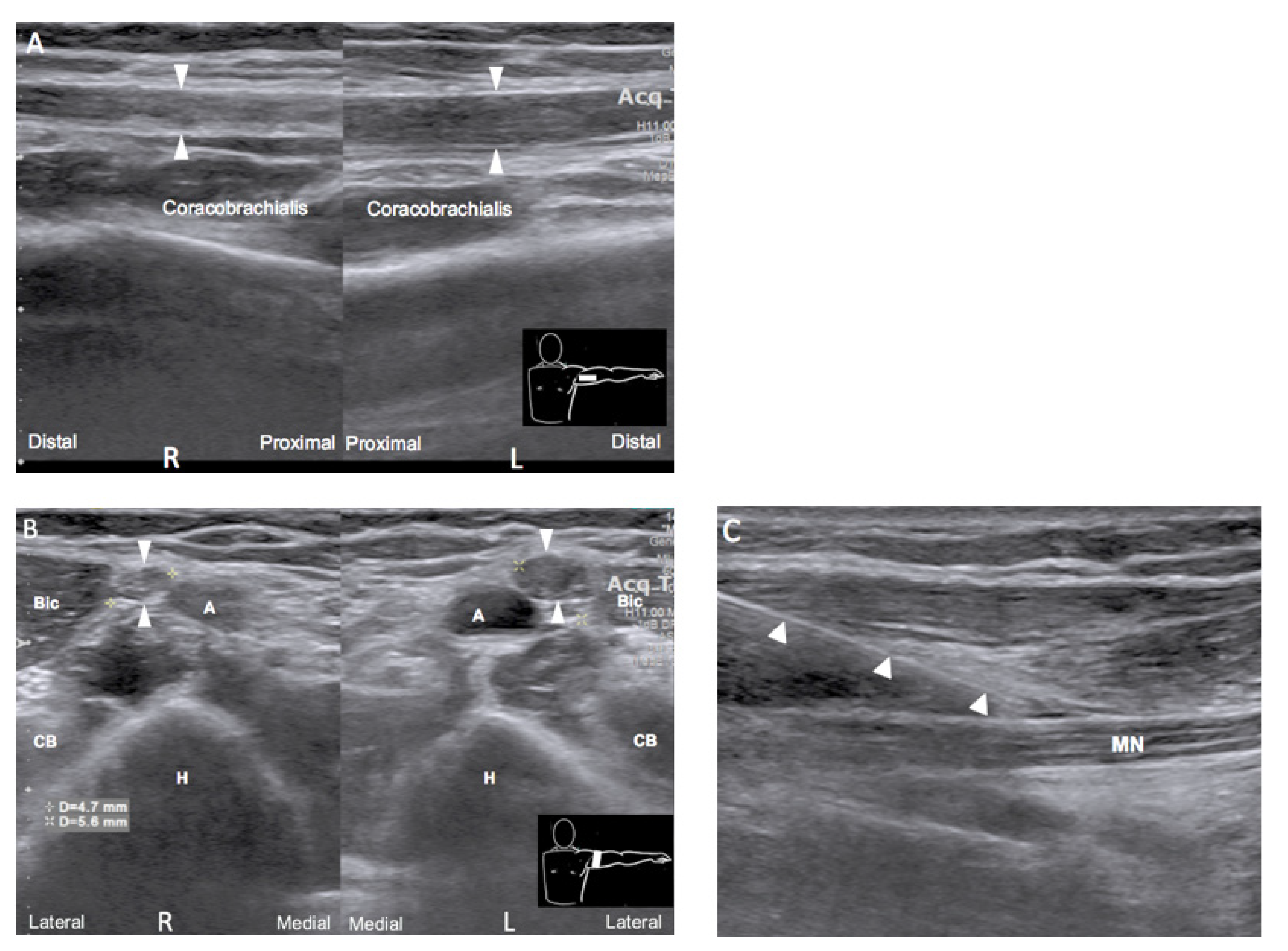 Medicina 58 00622 g001