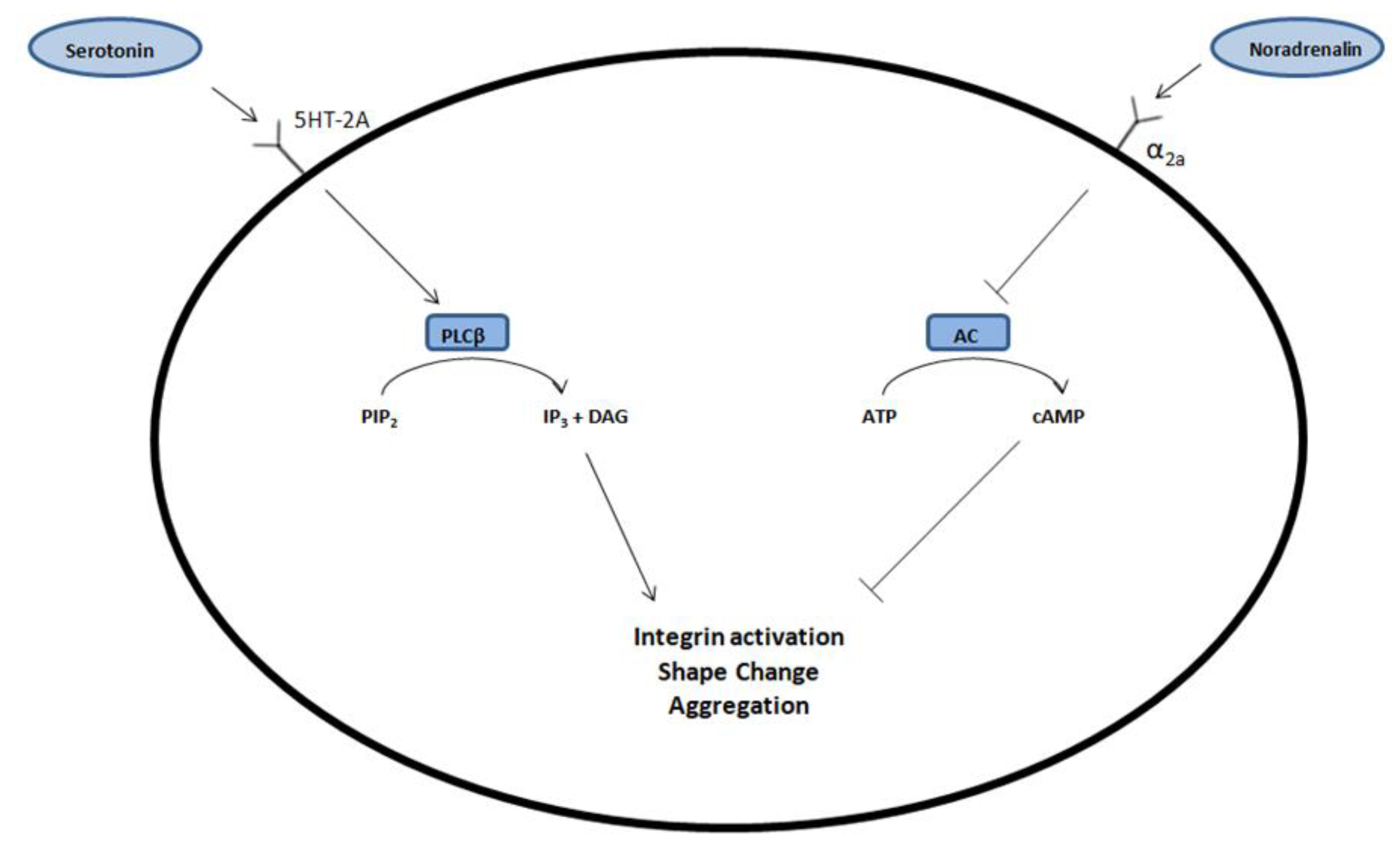 Medicina 58 00626 g001