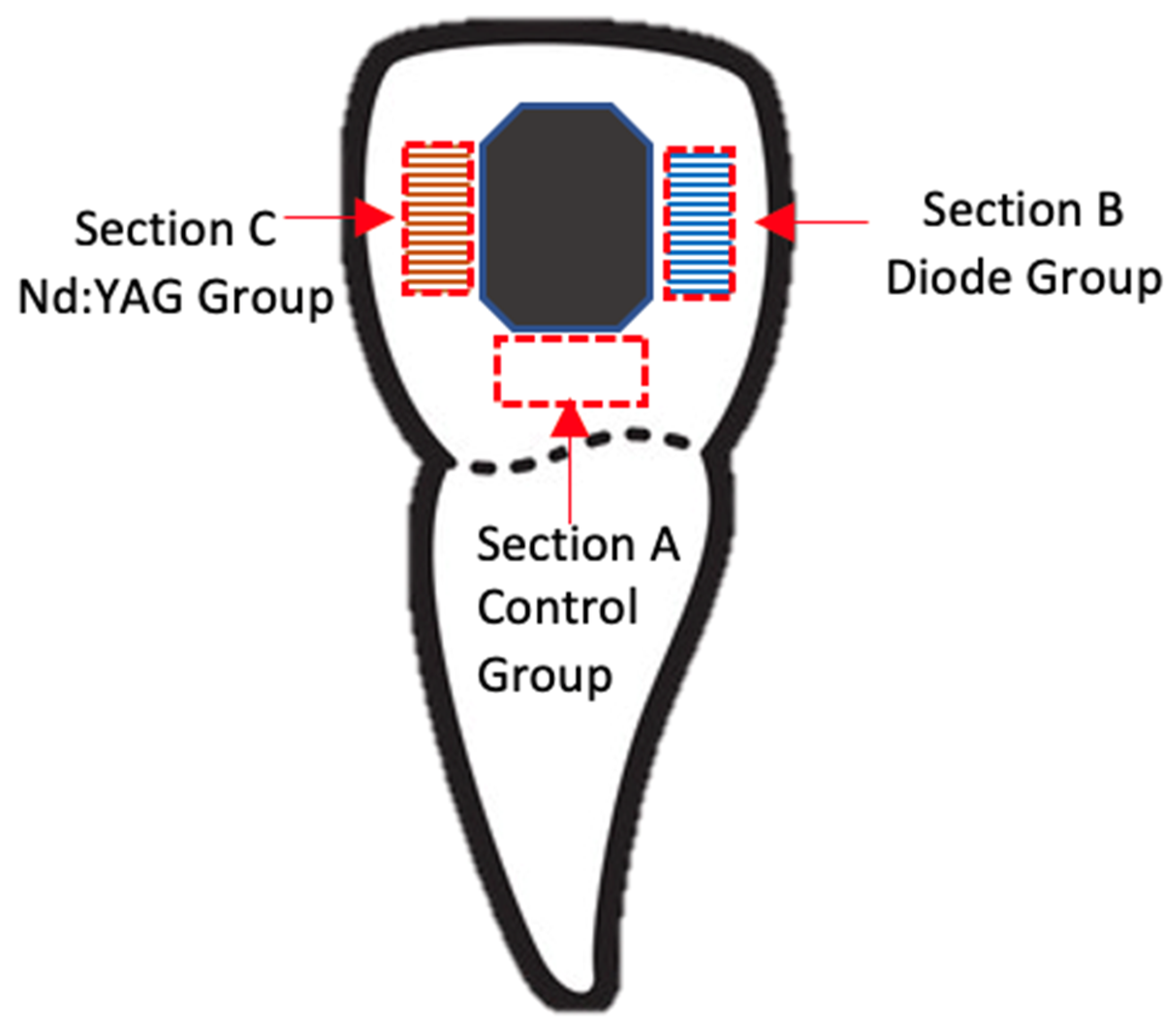 Medicina 58 00633 g001 Medicina 58 00633 g001