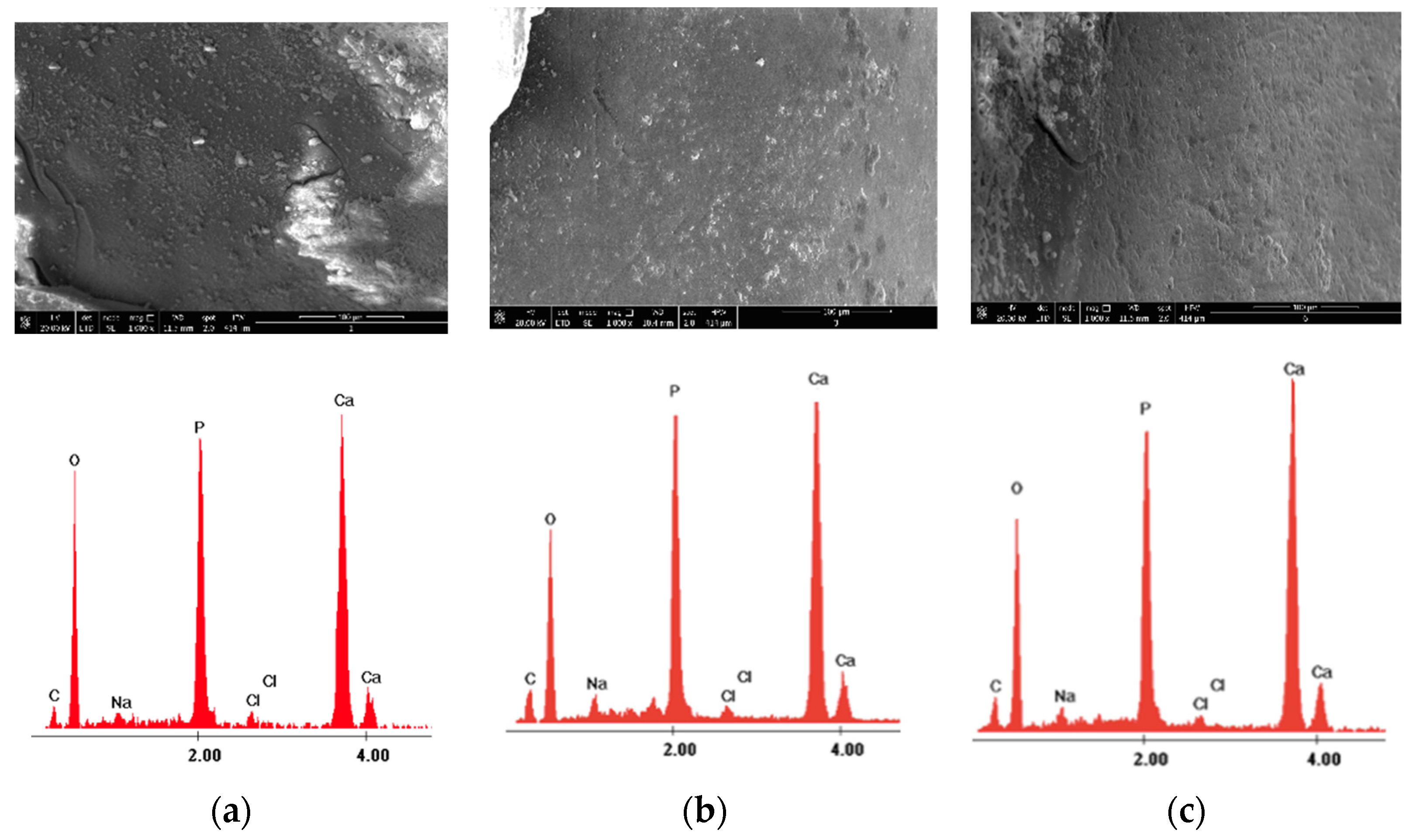 Medicina 58 00633 g003 Medicina 58 00633 g003