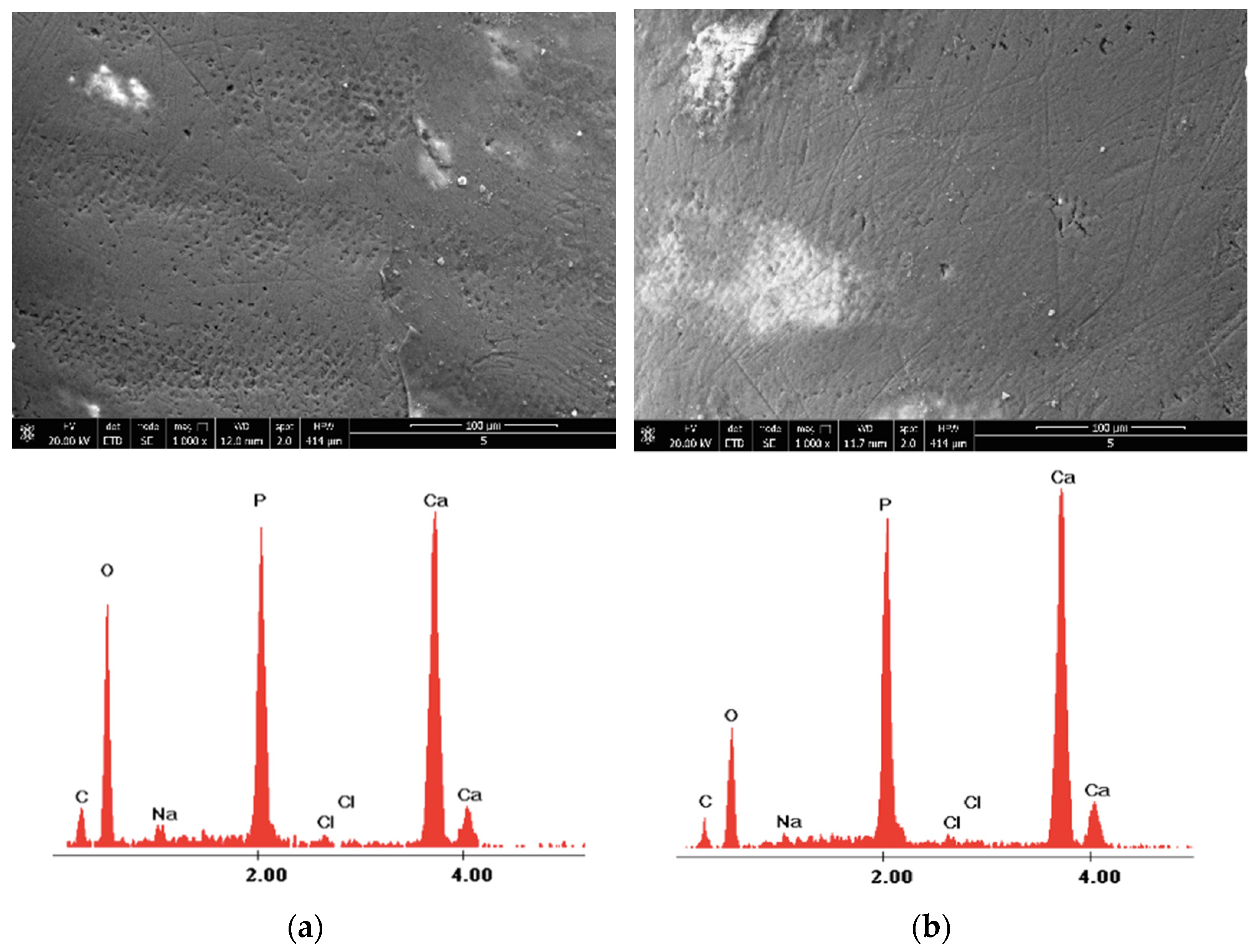 Medicina 58 00633 g005 Medicina 58 00633 g005