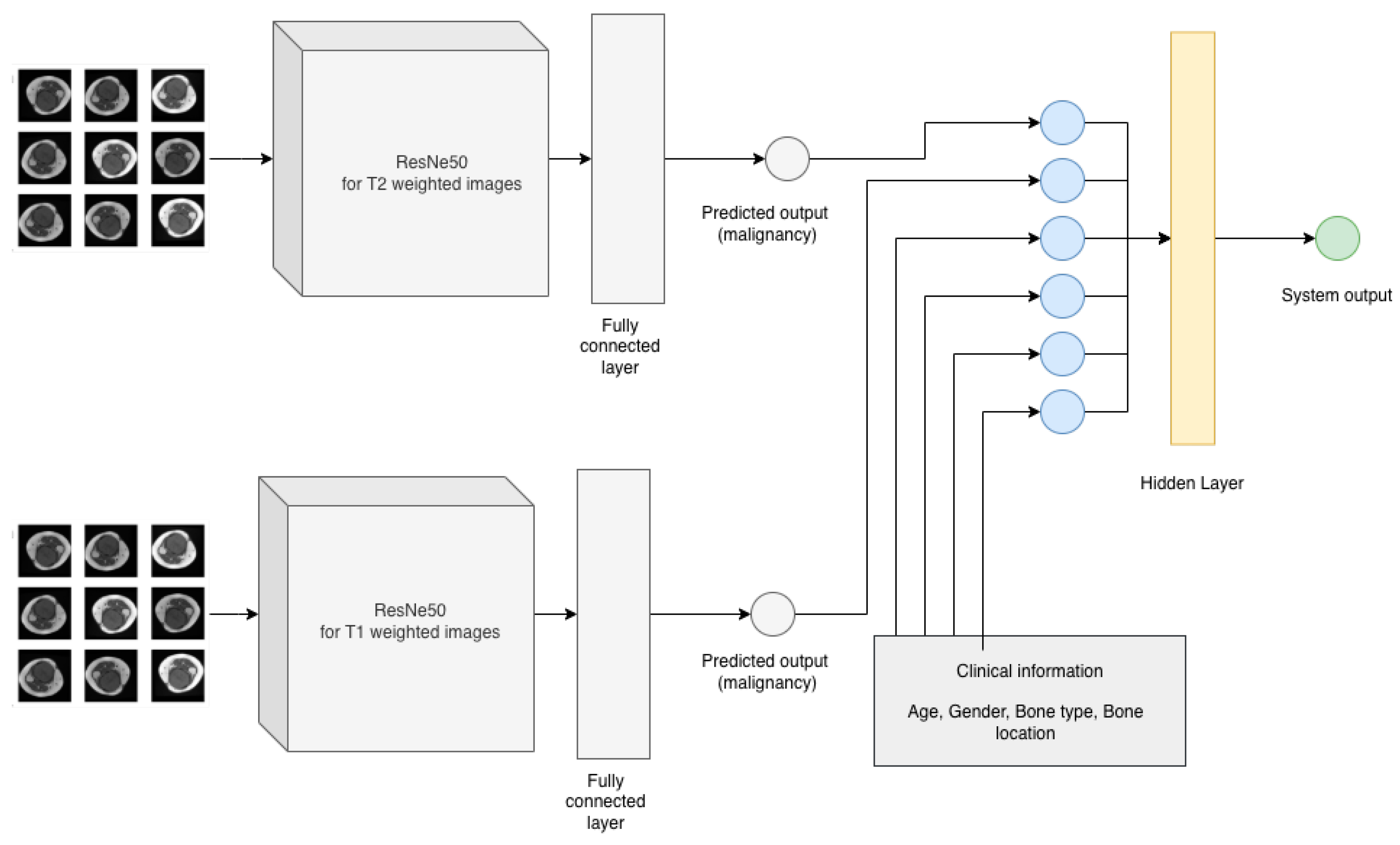 Medicina 58 00636 g004